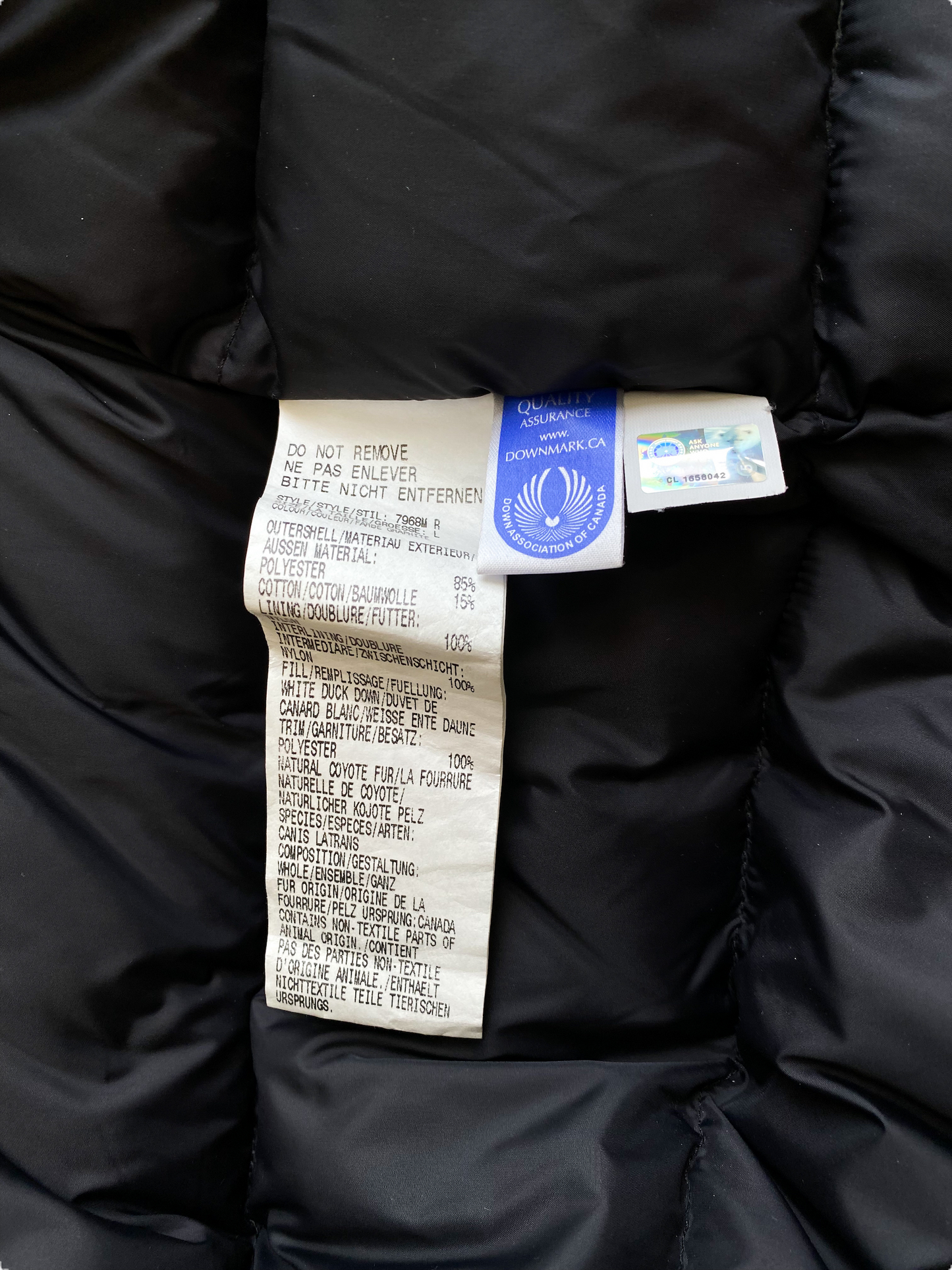 Canada Goose Graphite Borden Men's Jacket