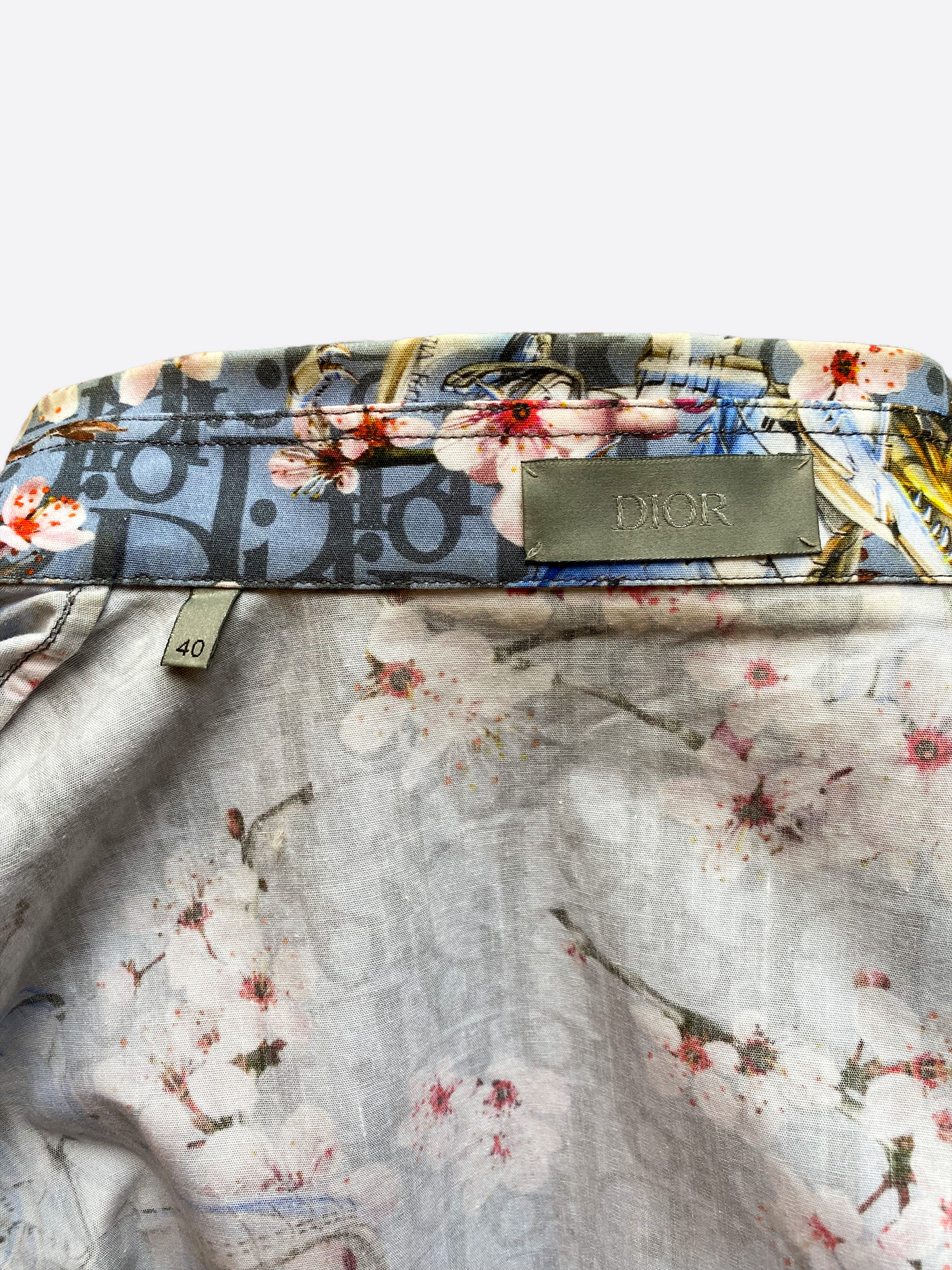 Dior Sorayama Oblique Dinosaur Button Up Shirt