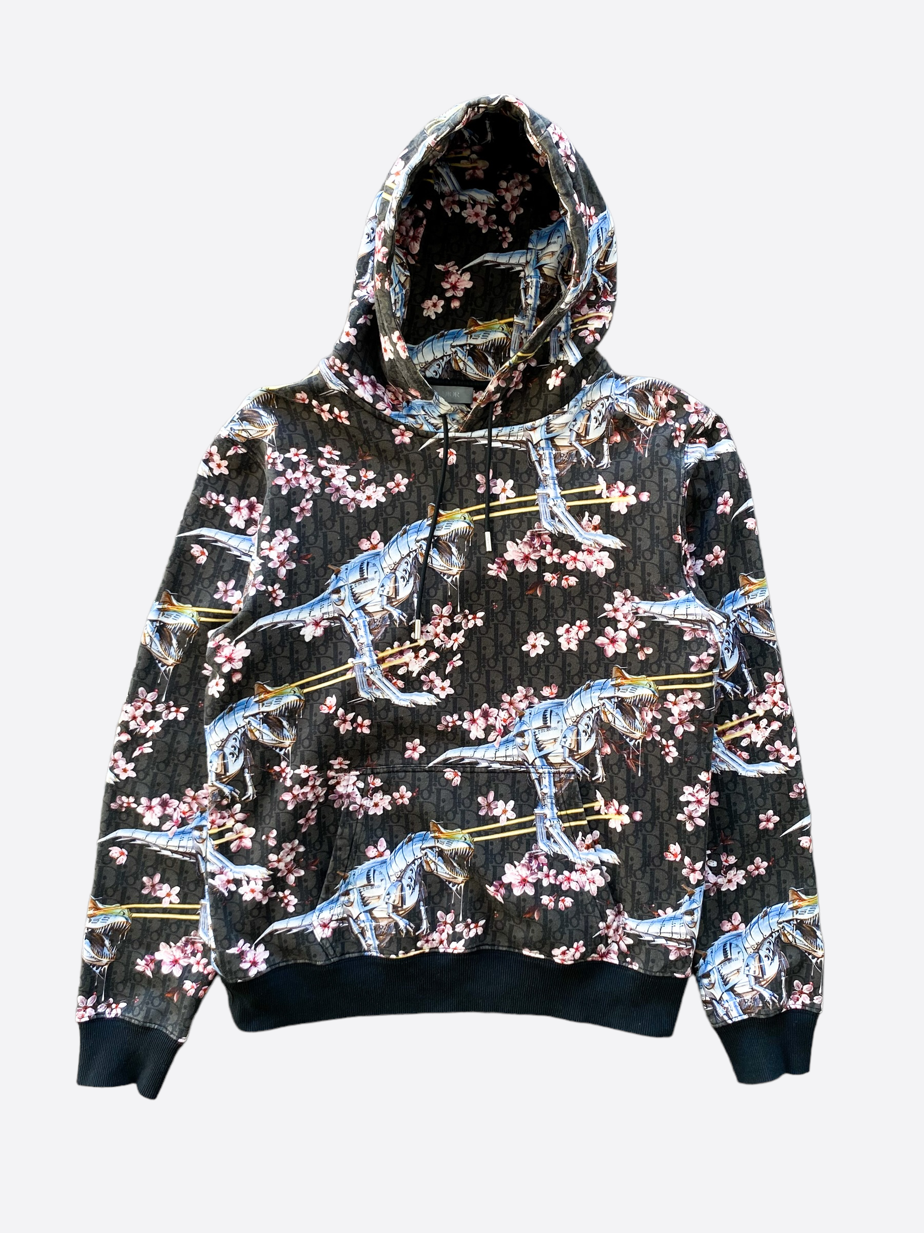 Dior hoodie sorayama Clearance