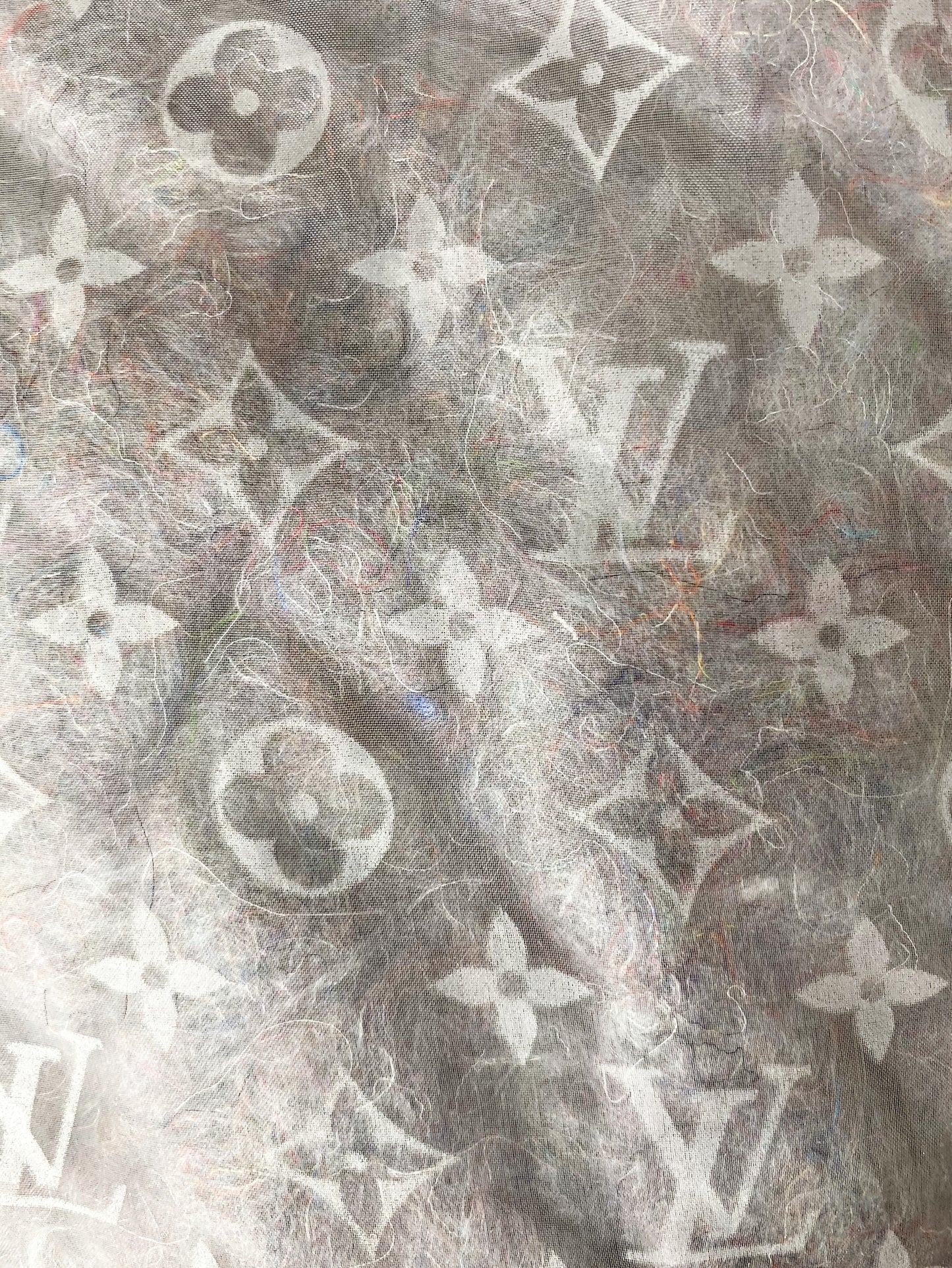Louis Vuitton Monogram Organza Padded Blouson