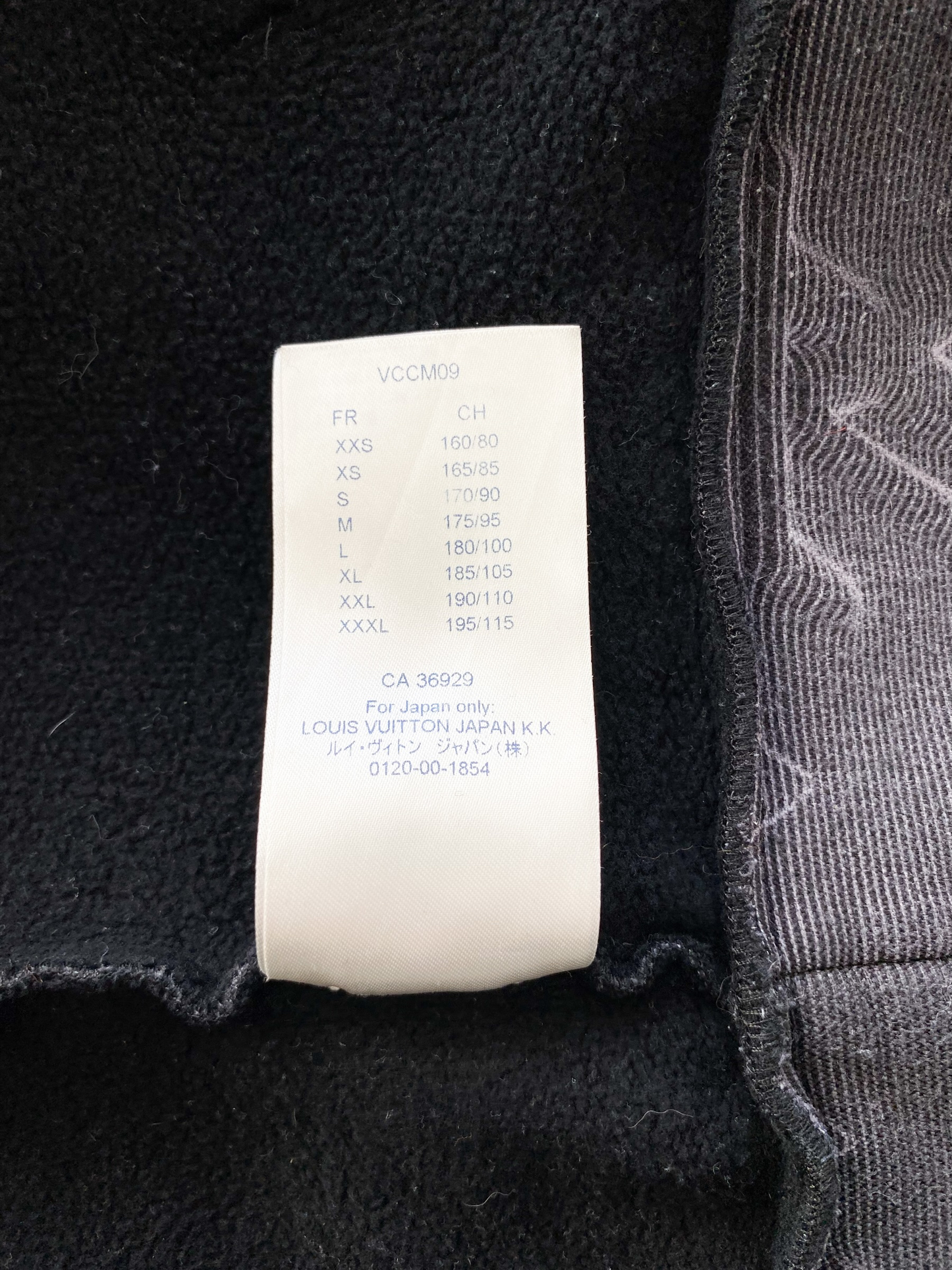 Louis Vuitton Monogram 2054 Hoodie