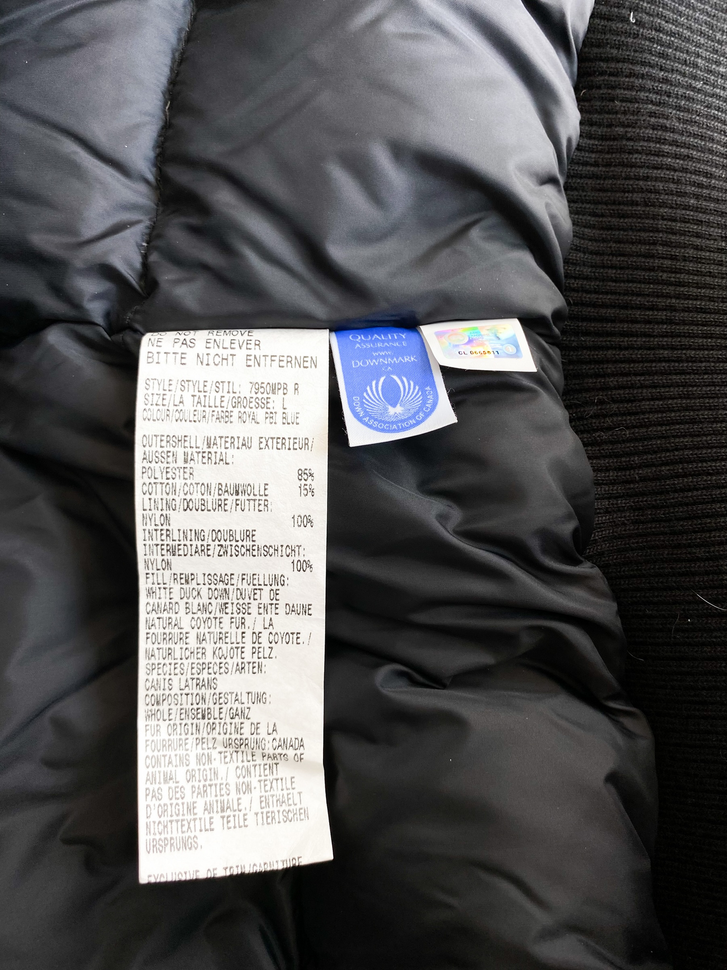 Canada Goose Royal PBI Blue Chilliwack Men's Jacket