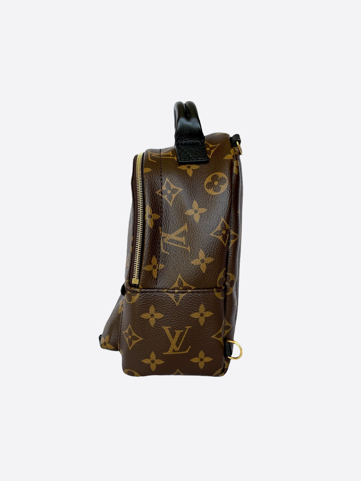 Louis Vuitton Palm Springs Mini Backpack