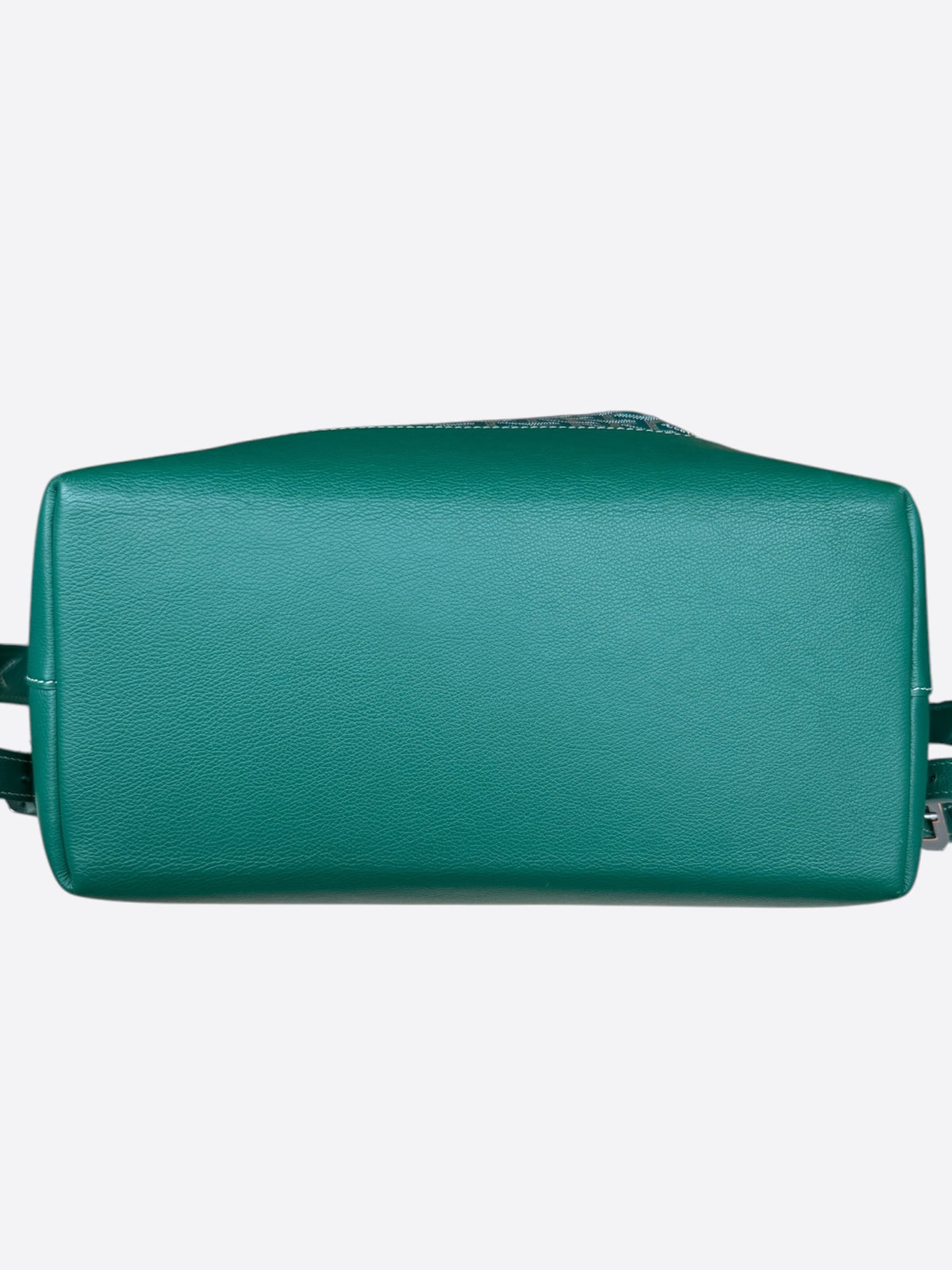 Goyard Green Cisalpin Backpack