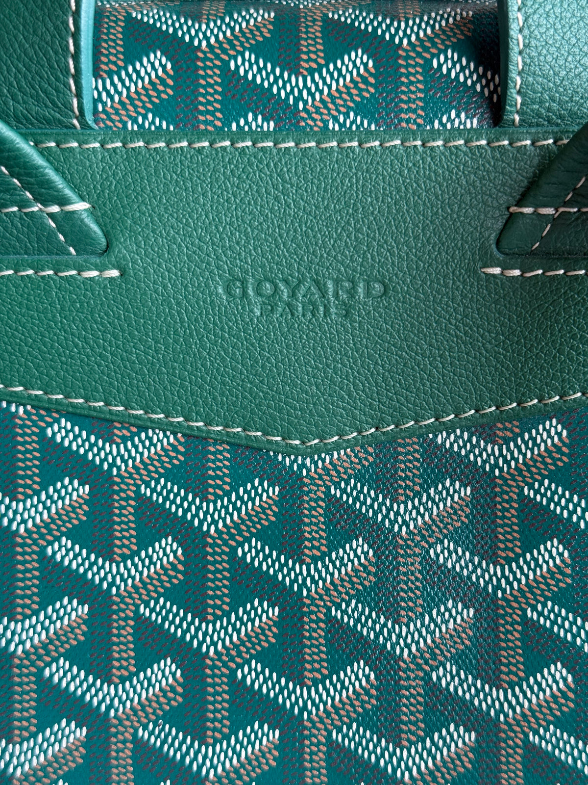 Goyard Green Cisalpin Backpack