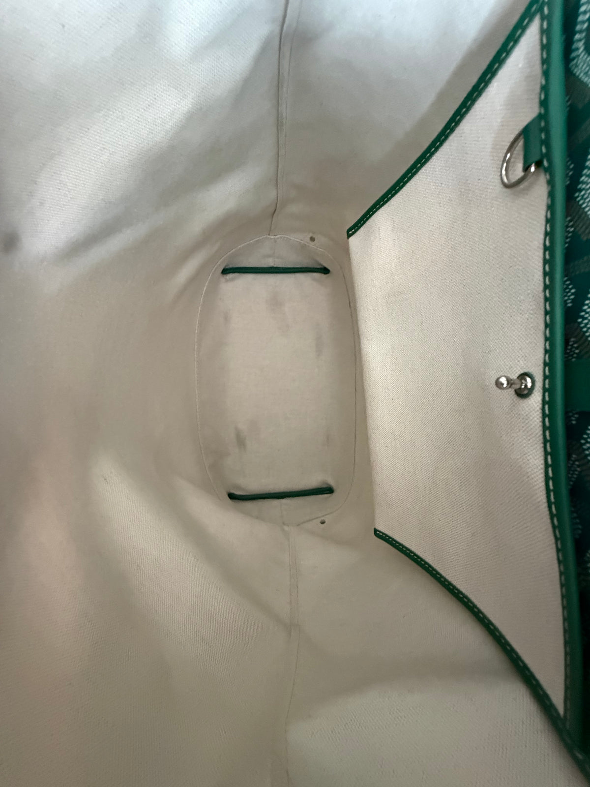 Goyard Green Cisalpin Backpack