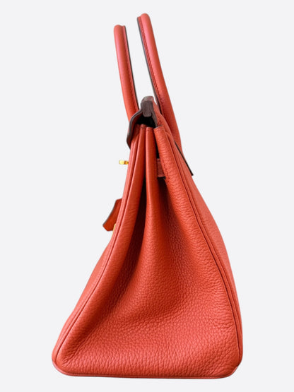 Hermes Orange Togo & Gold Hardware Birkin 25