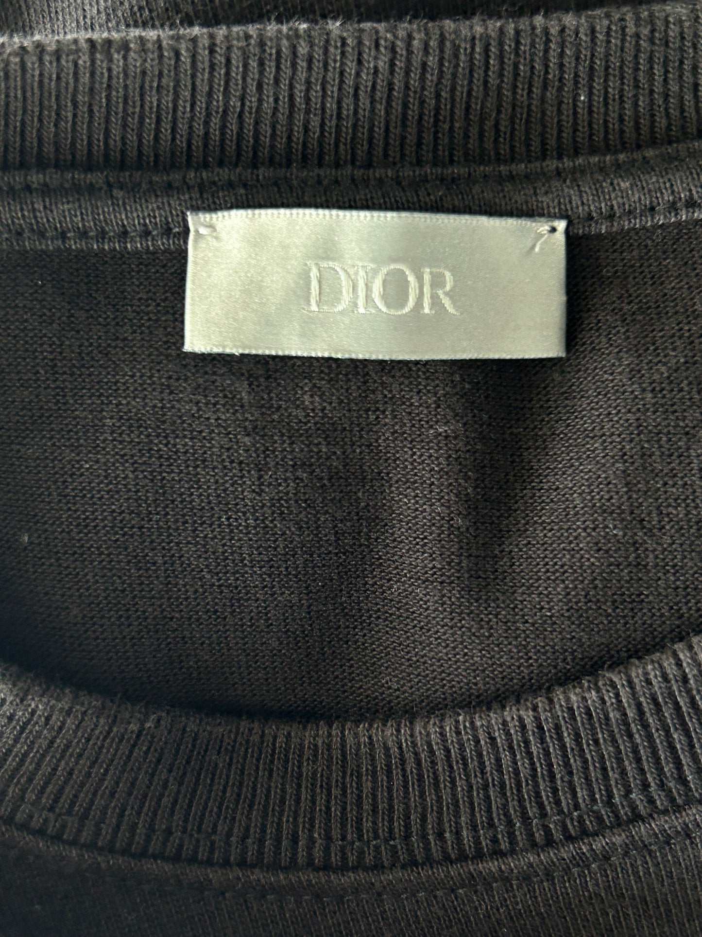 Dior Daniel Arsham Black & Blue Logo T-Shirt