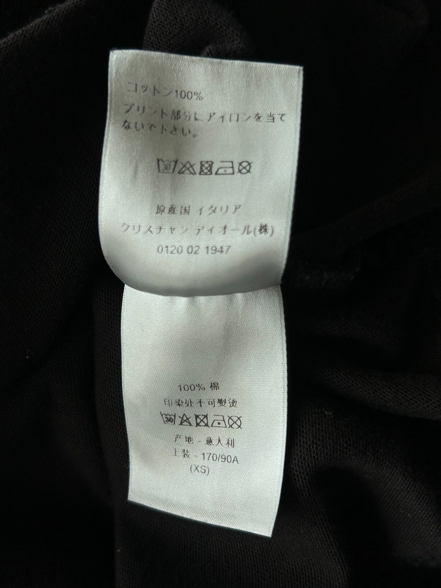 Dior Daniel Arsham Black & Blue Logo T-Shirt