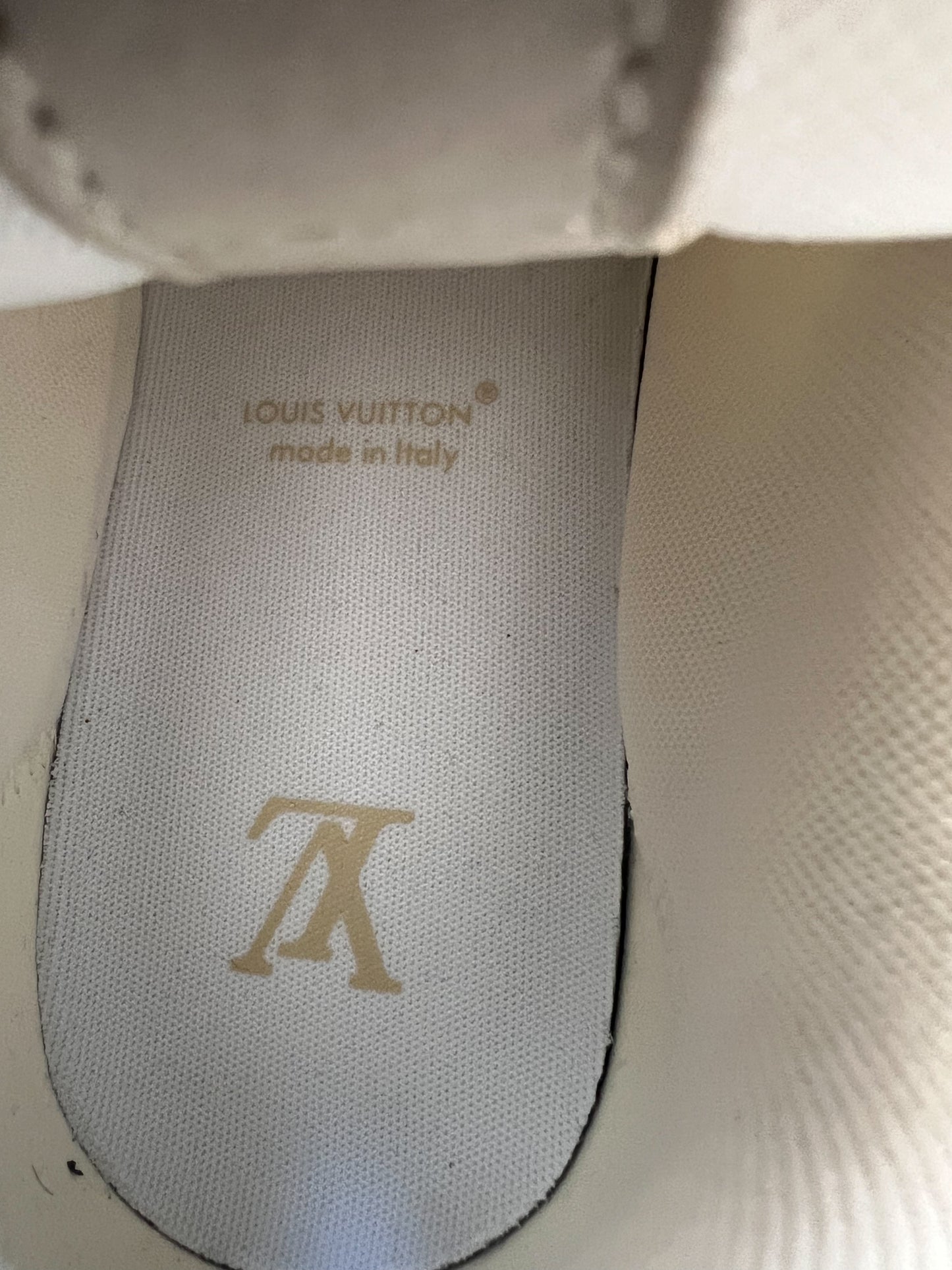 Louis Vuitton Tan & White Skate Trainers