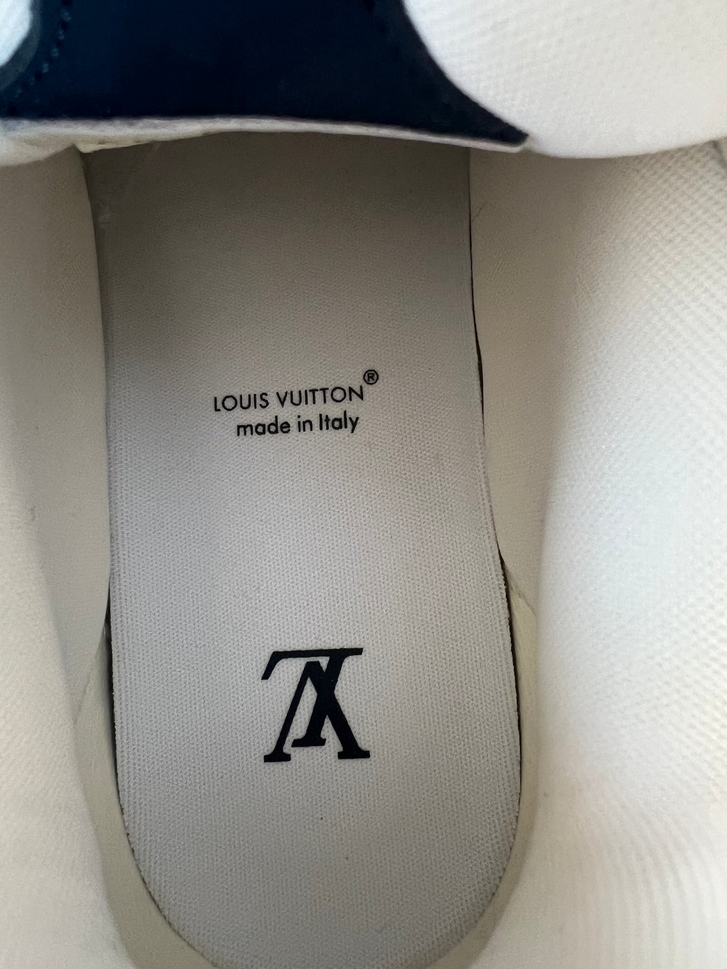 Louis Vuitton Navy & White Skate Trainers