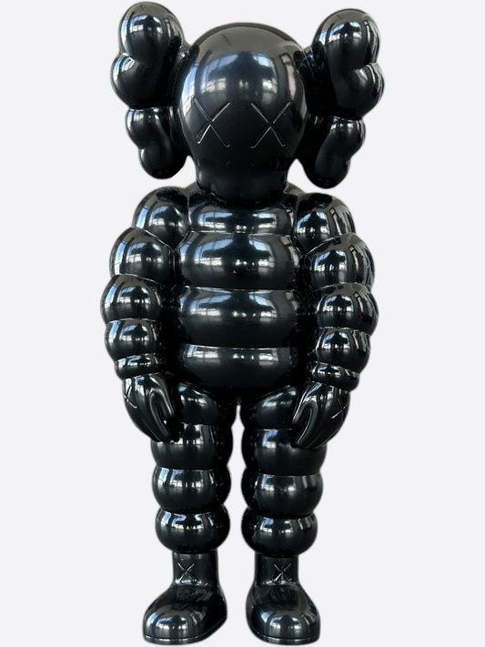 Kaws Black What Party Companion