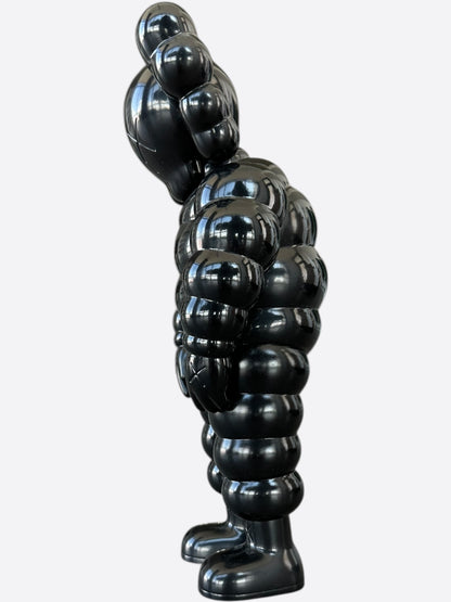 Kaws Black What Party Companion