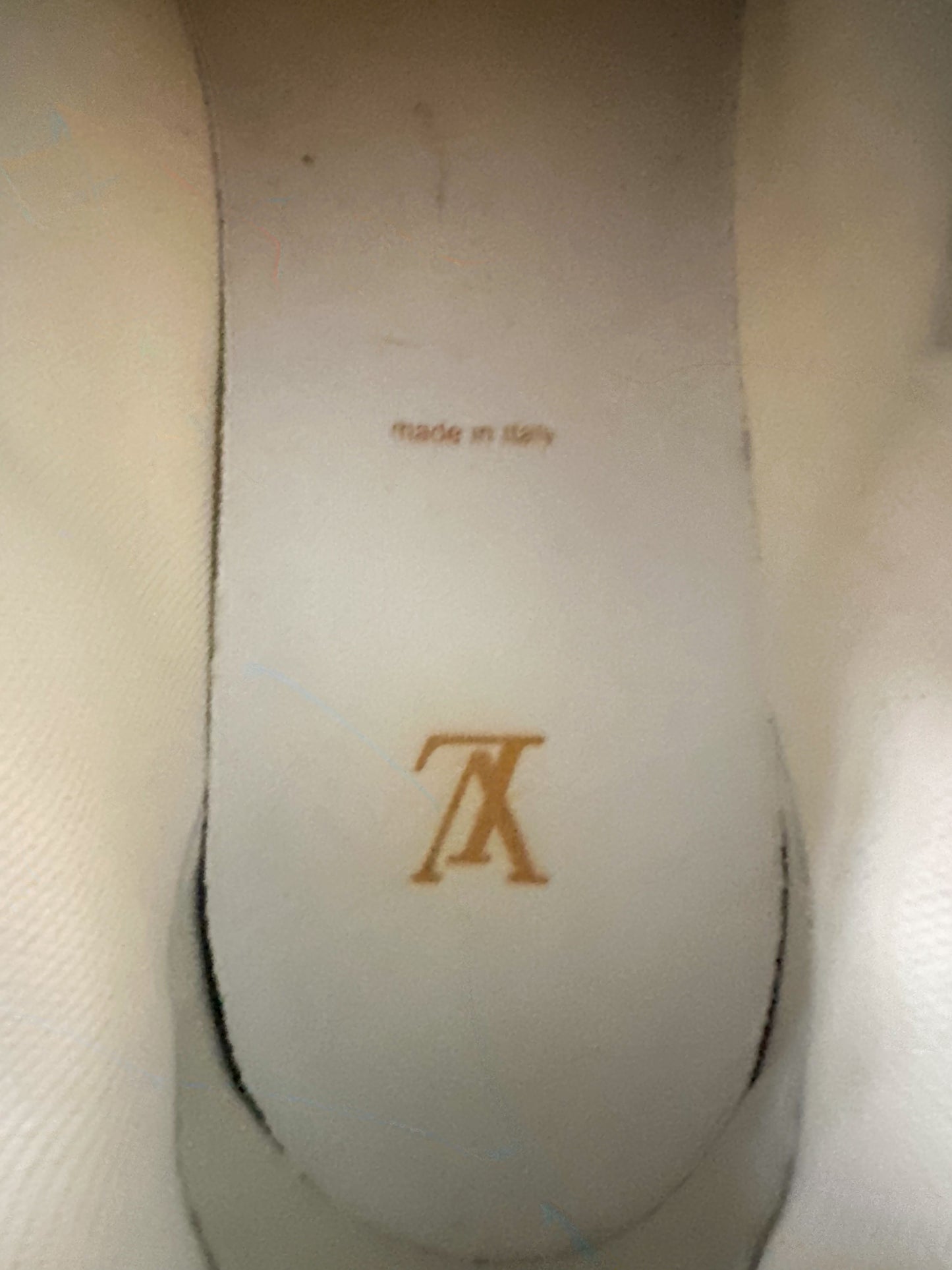 Louis Vuitton Silver & Tan Monogram Trainers