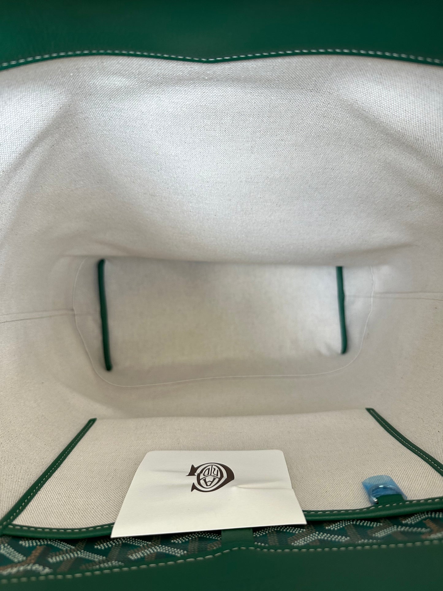 Goyard Green Cisalpin Backpack