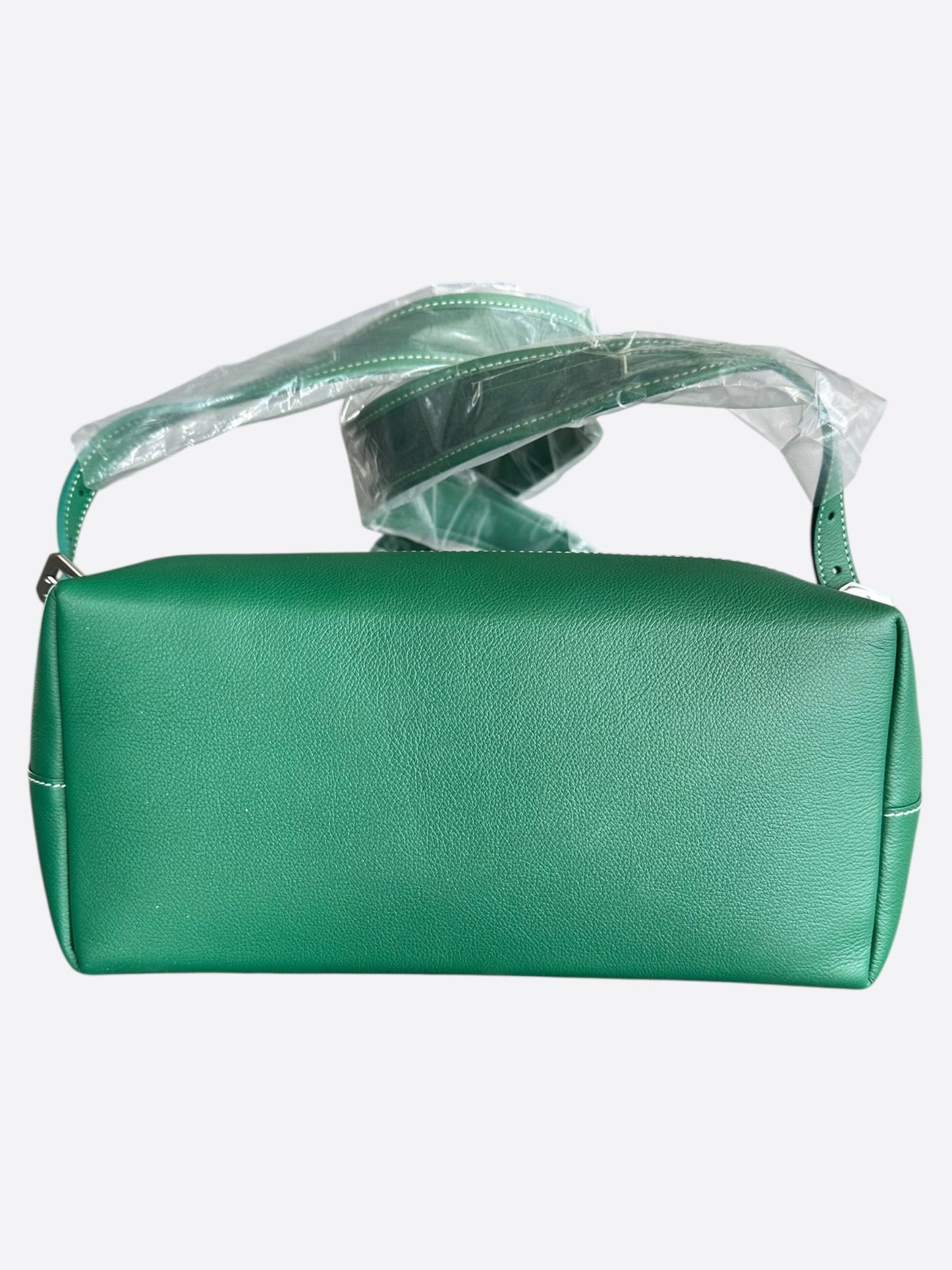 Goyard Green Cisalpin Backpack