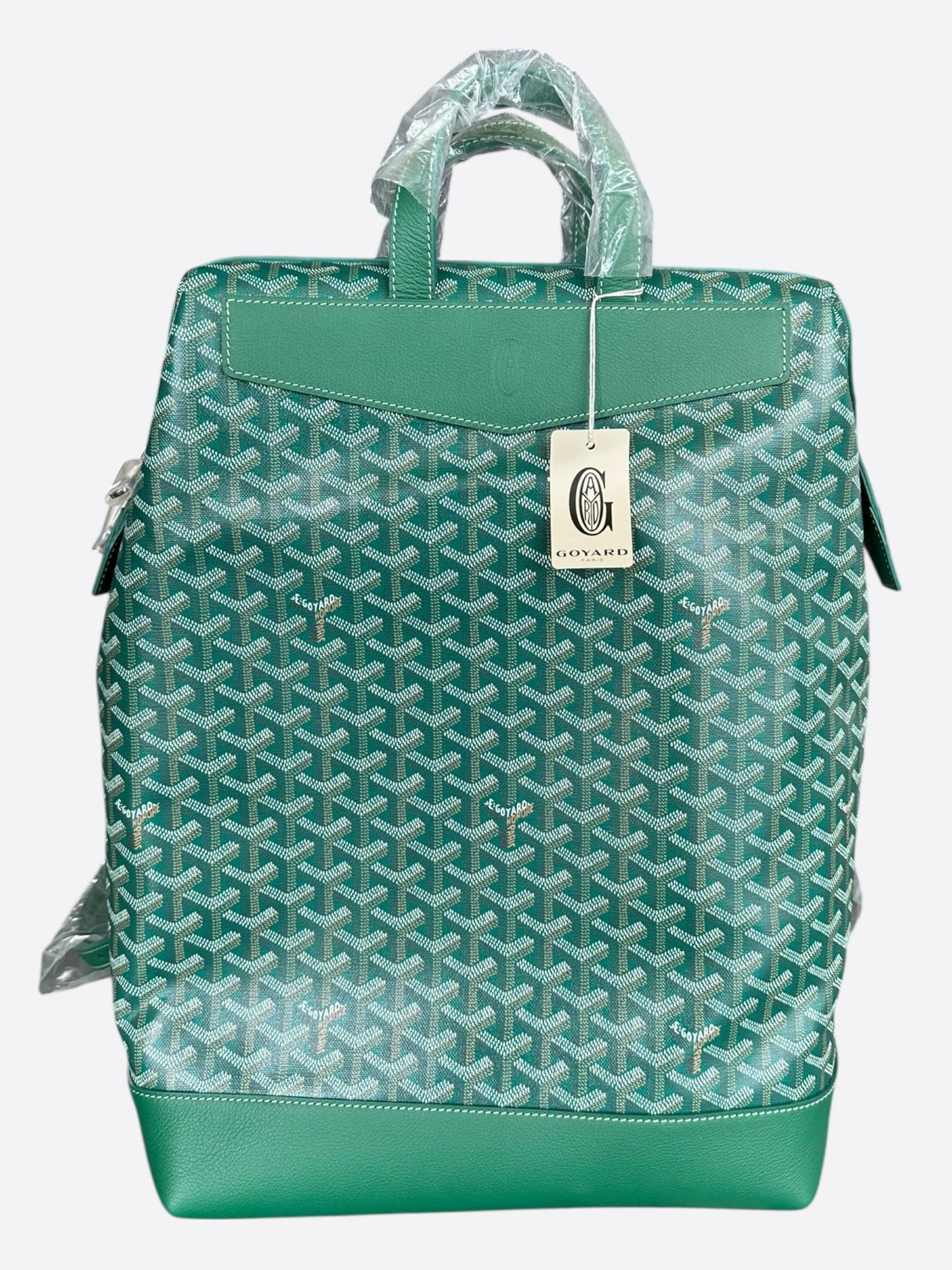 Goyard Green Cisalpin Backpack
