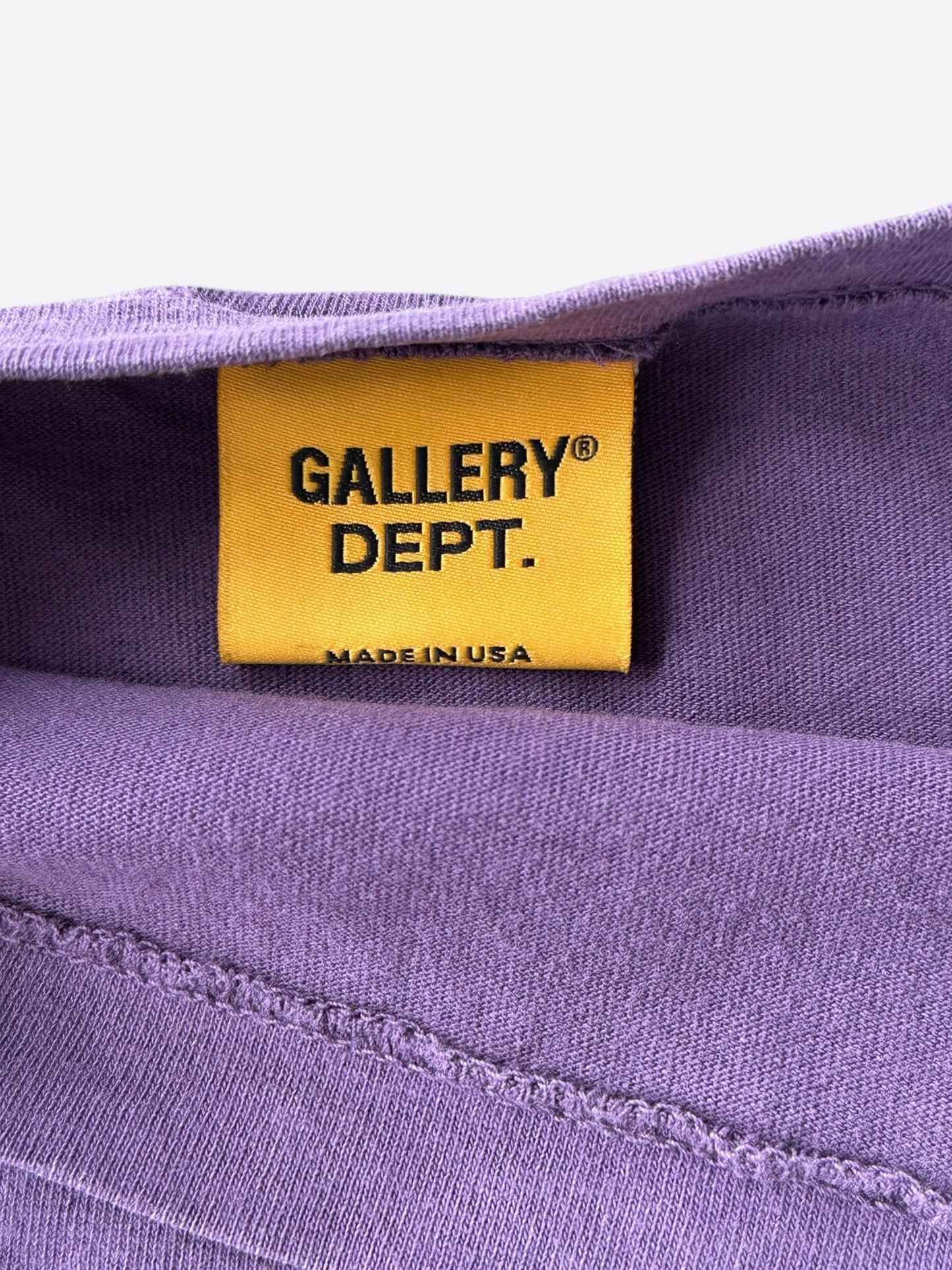 Gallery Dept Purple & Blue Logo Longsleeve T-Shirt