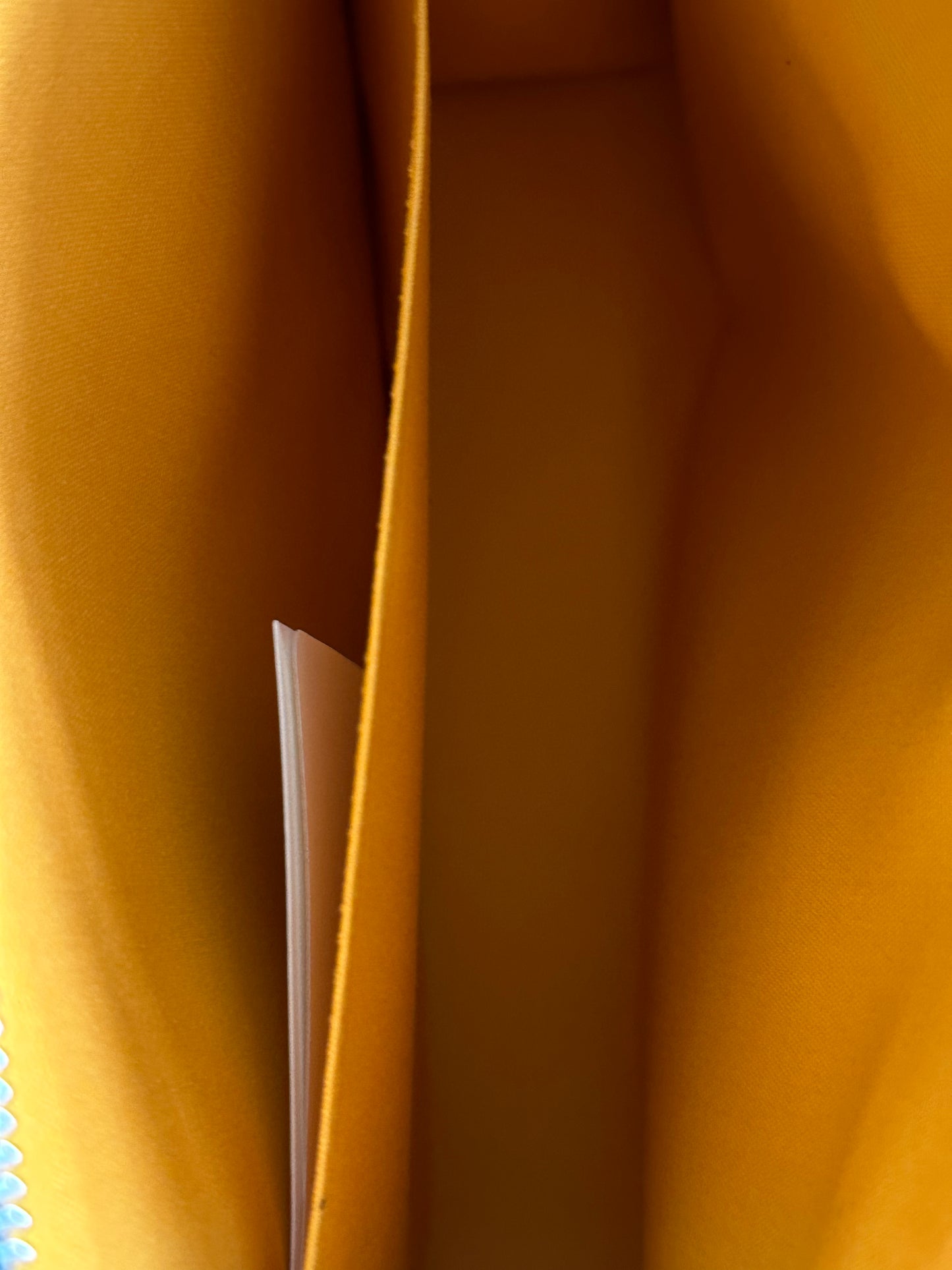 Goyard Grey Jouvence MM Toiletry Bag