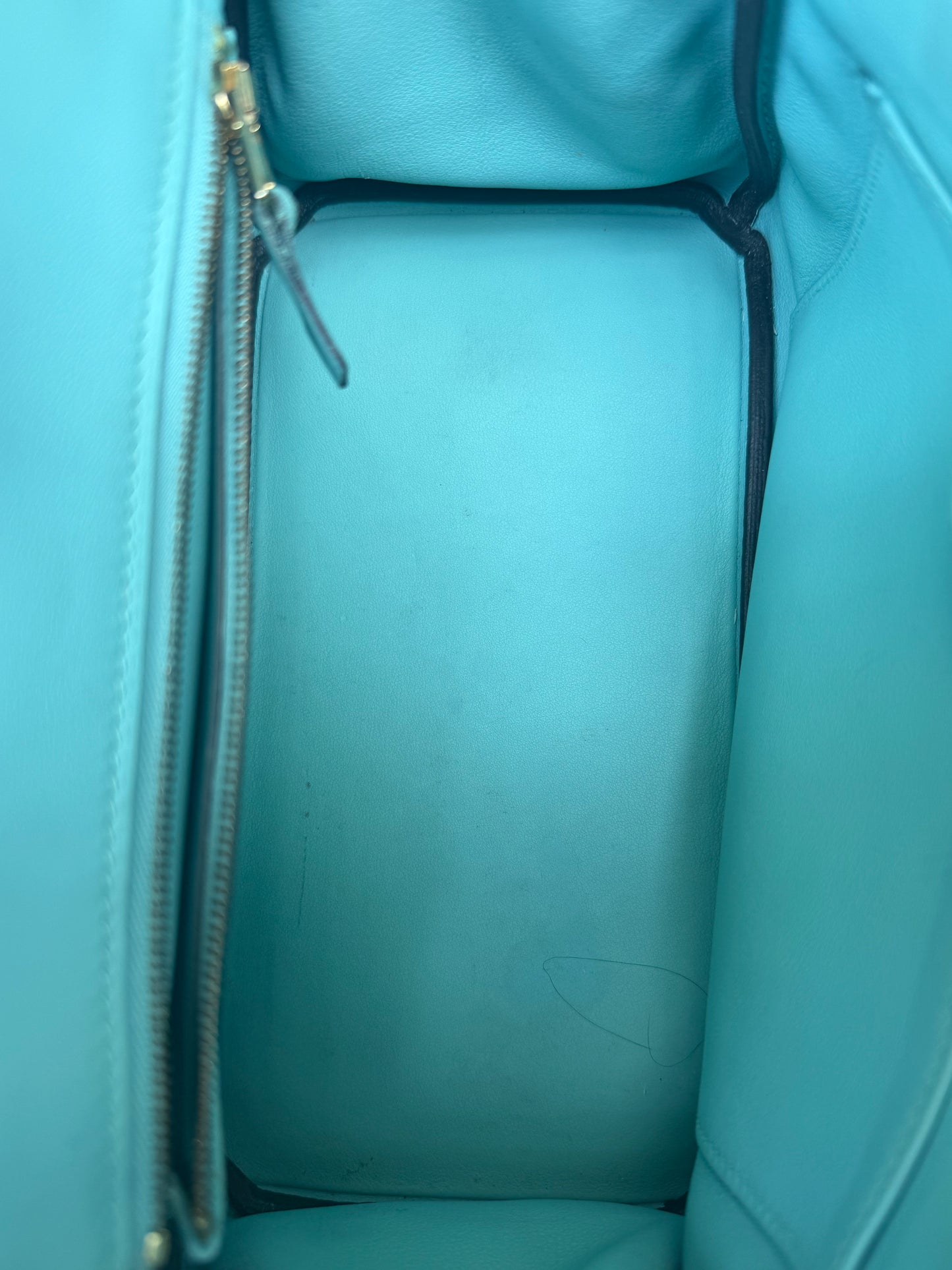Hermes Blee Atoll Swift & Gold Hardware Togo Birkin 25