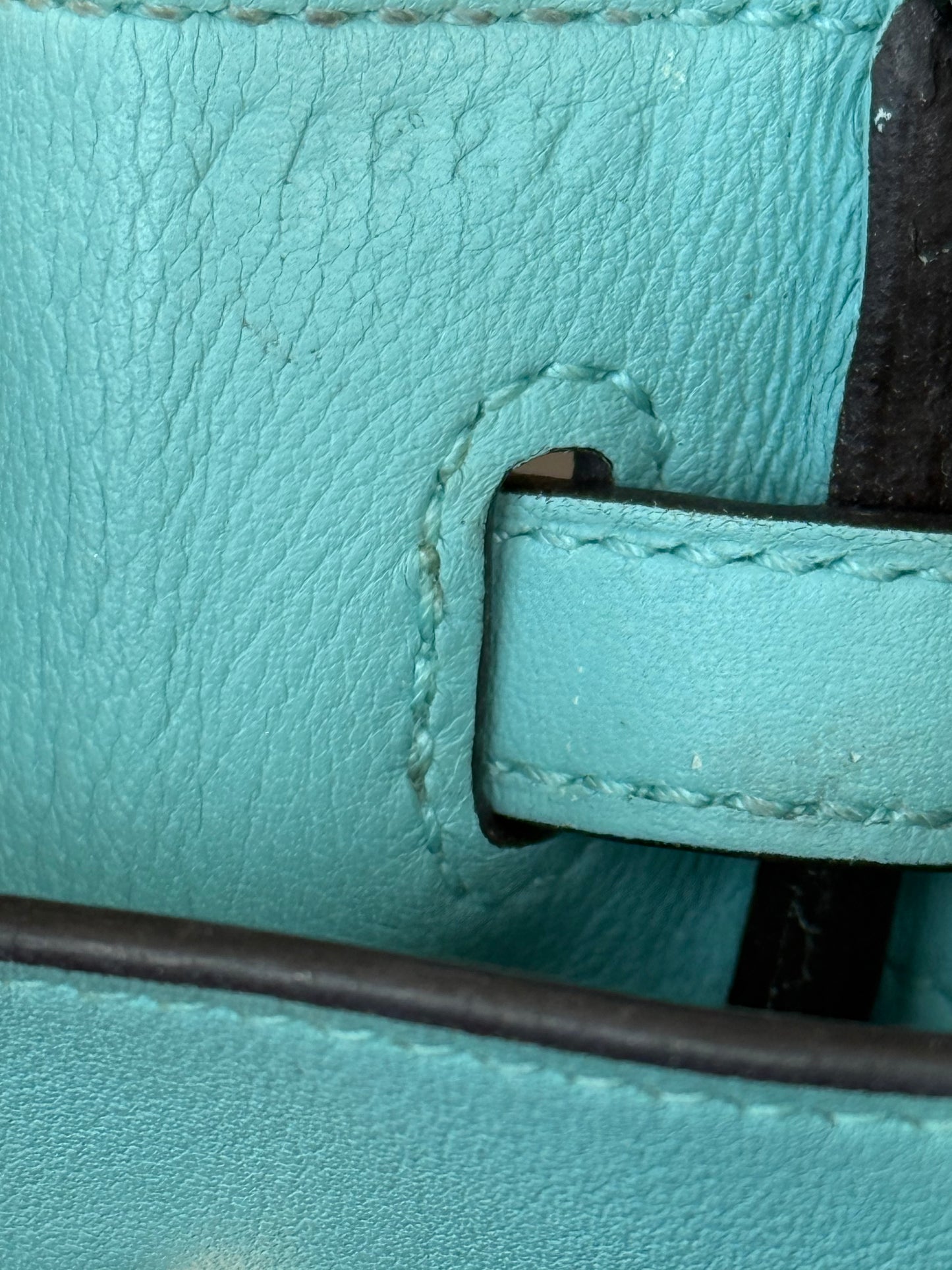 Hermes Blee Atoll Swift & Gold Hardware Togo Birkin 25
