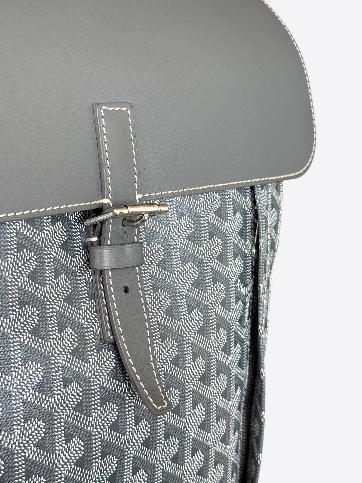 Goyard Grey Alpin Backpack