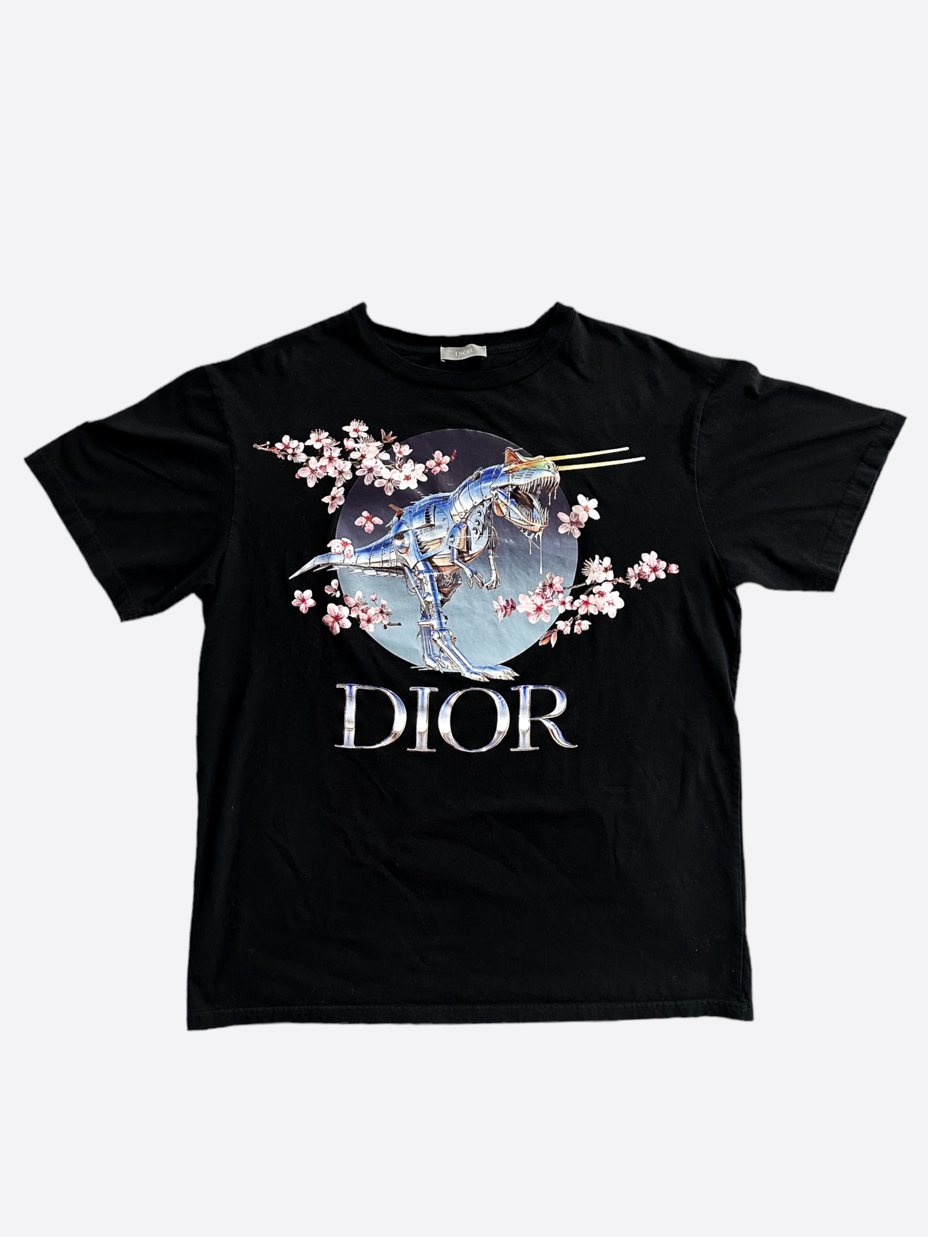 Dior discount hoodie dinosaur