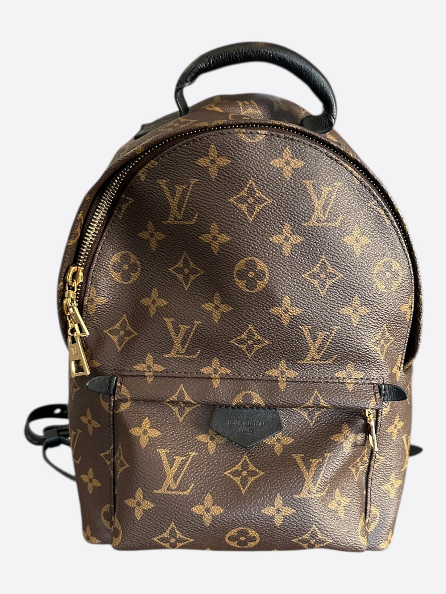 Louis Vuitton Brown Monogram Palm Springs Mini Backpack