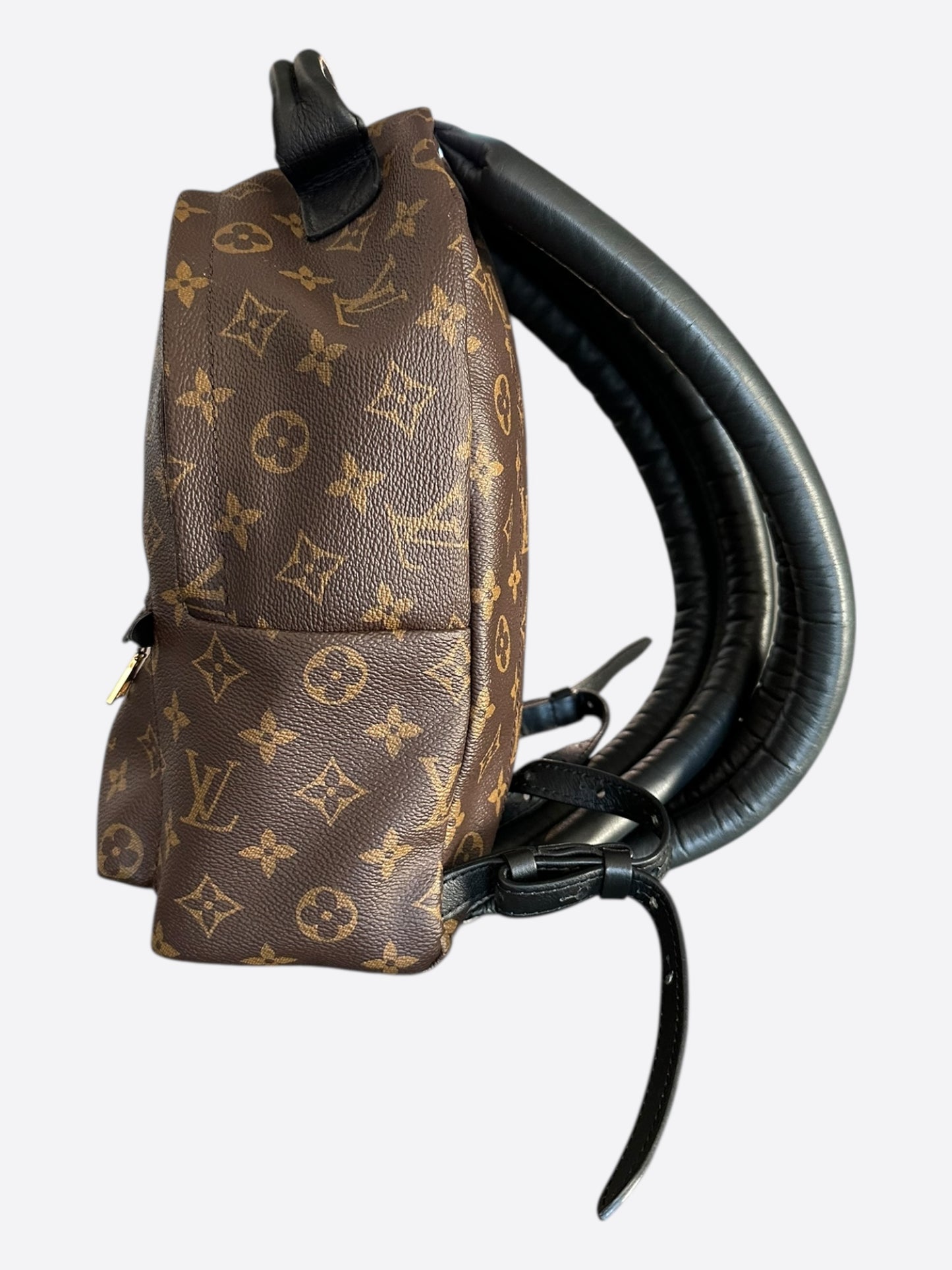 Louis Vuitton Brown Monogram Palm Springs Mini Backpack