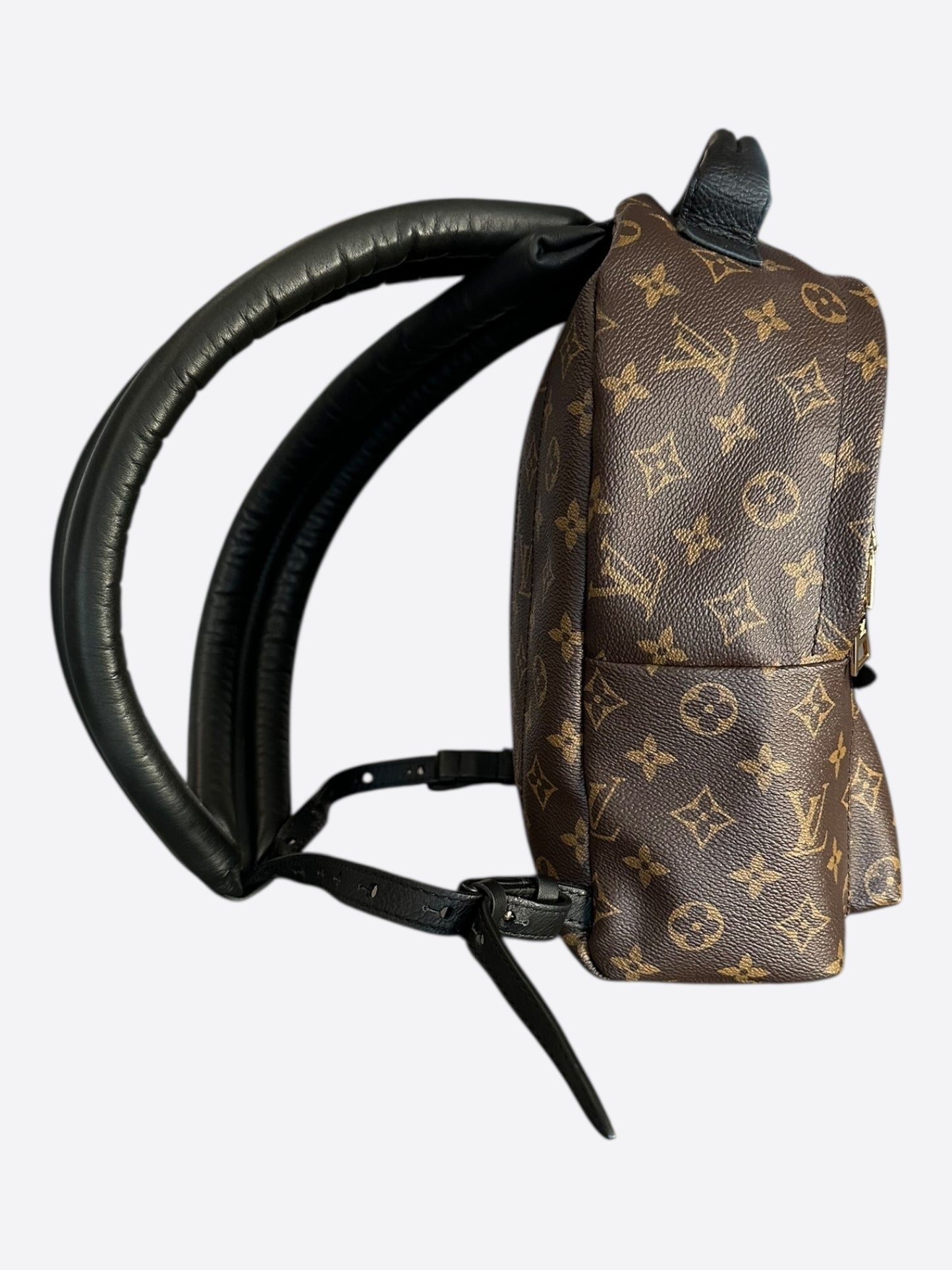 Louis Vuitton Brown Monogram Palm Springs Mini Backpack