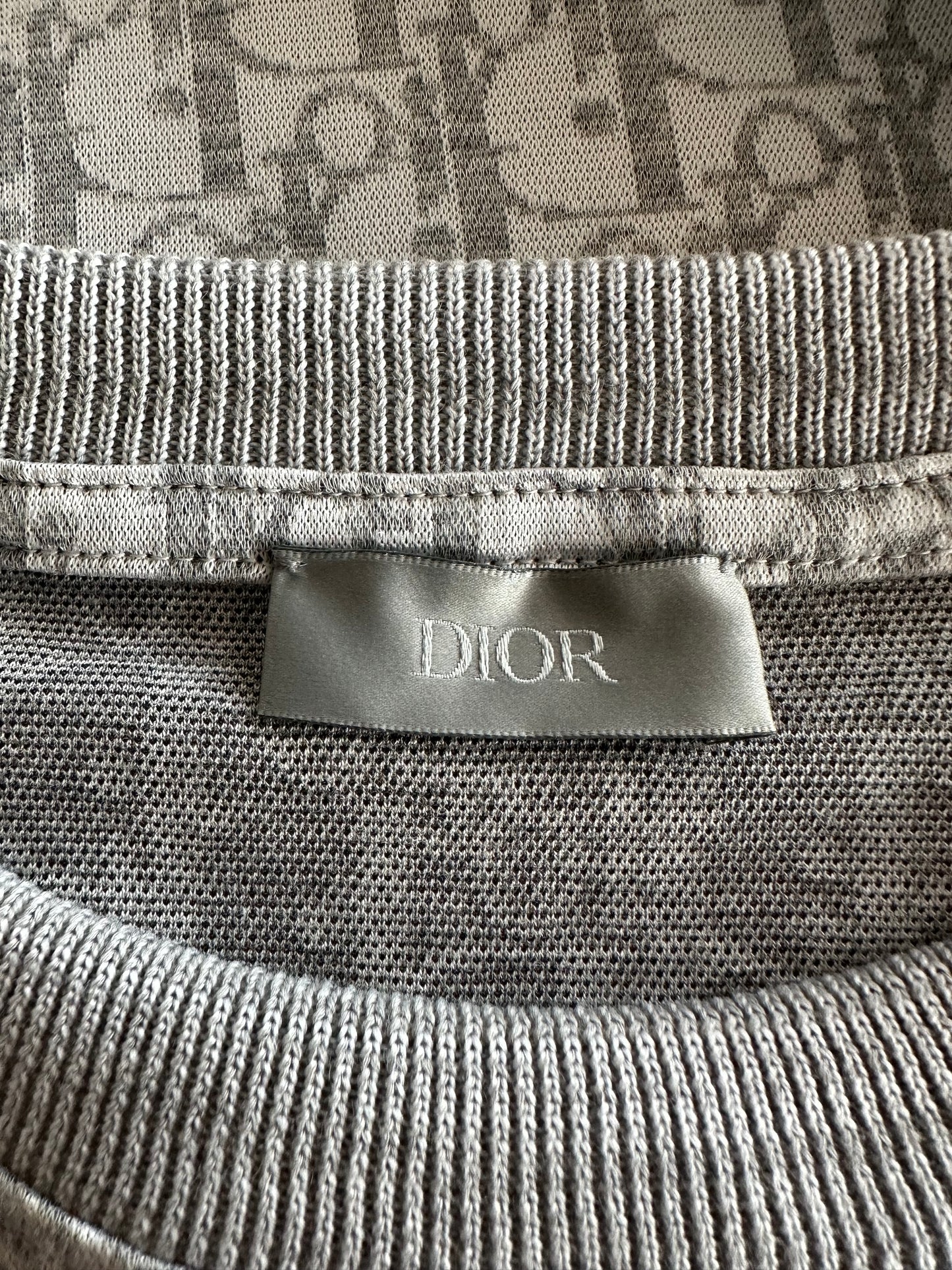 Dior Daniel Arsham Grey Oblique T-Shirt