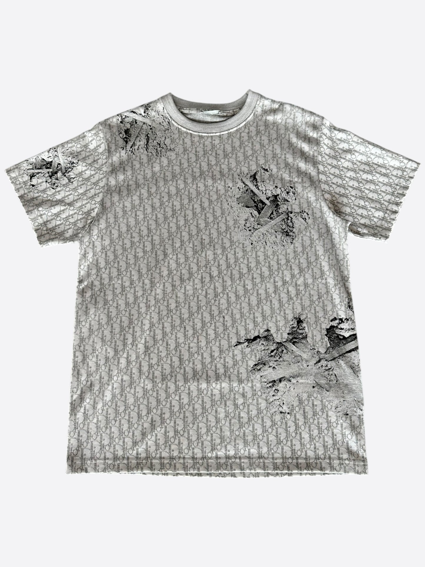 Dior Daniel Arsham Grey Oblique T-Shirt