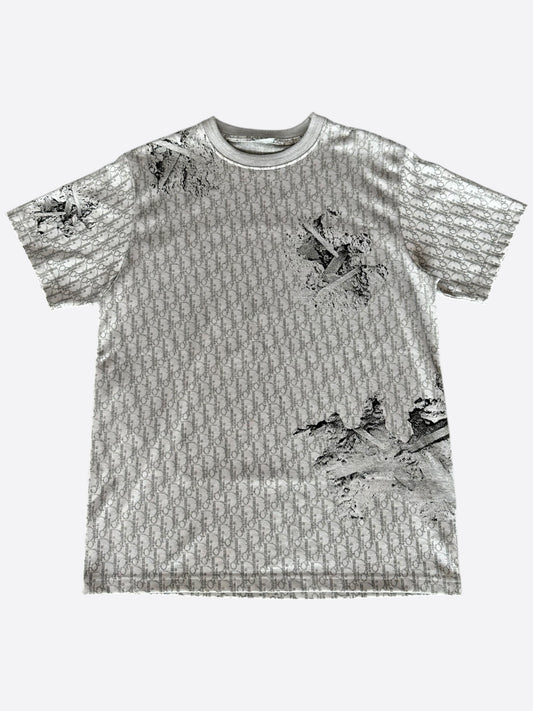 Dior Daniel Arsham Grey Oblique T-Shirt