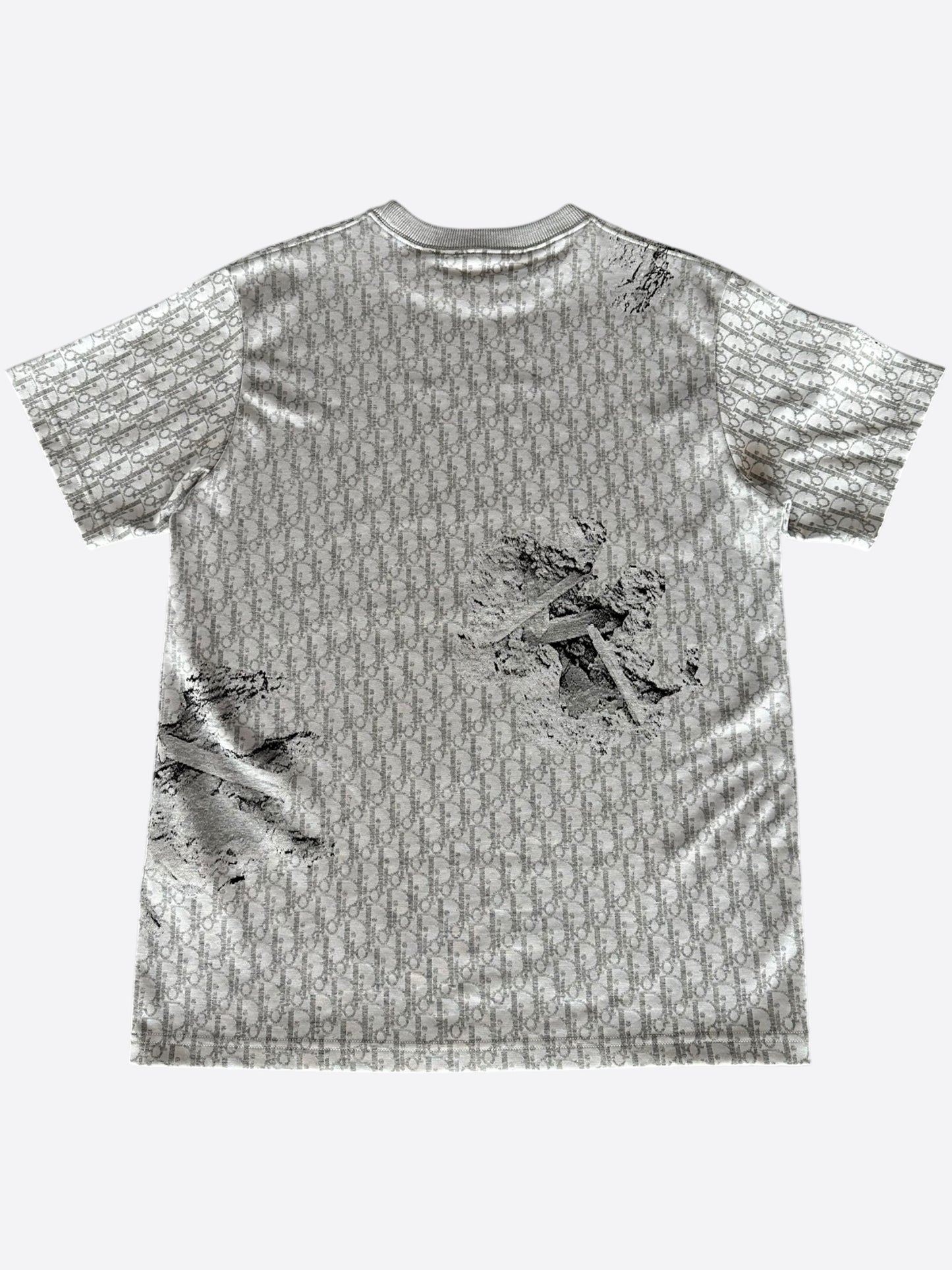 Dior Daniel Arsham Grey Oblique T-Shirt