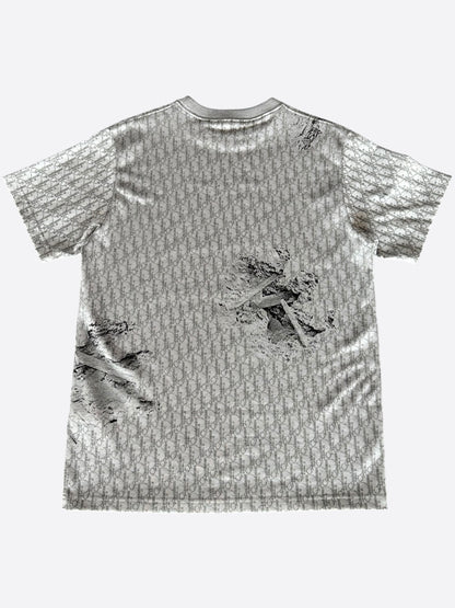 Dior Daniel Arsham Grey Oblique T-Shirt