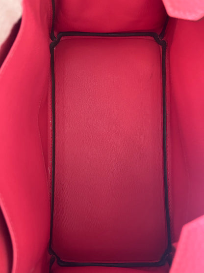 Hermes Watermelon & Palladium Togo Birkin 30