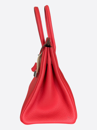Hermes Watermelon & Palladium Togo Birkin 30