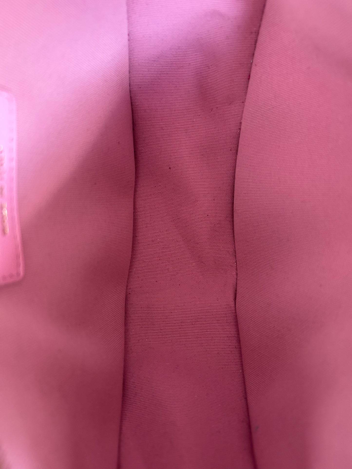 Chanel Pink Quilted Lambskin Small Hobo Bag