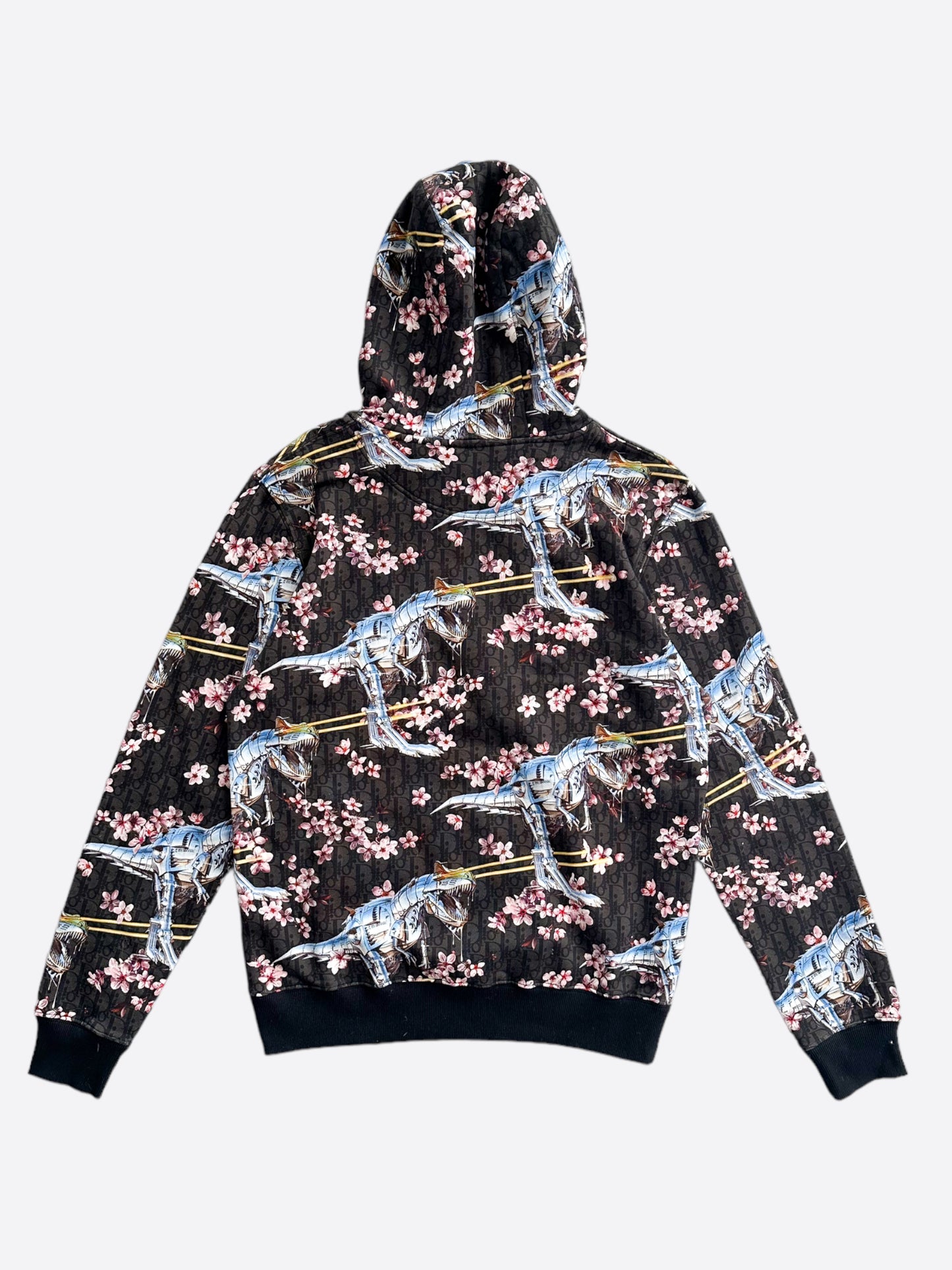 Dior Sorayama Oblique Dinosaur Hoodie