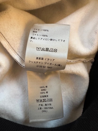 Dior Sorayama Oblique Dinosaur Hoodie