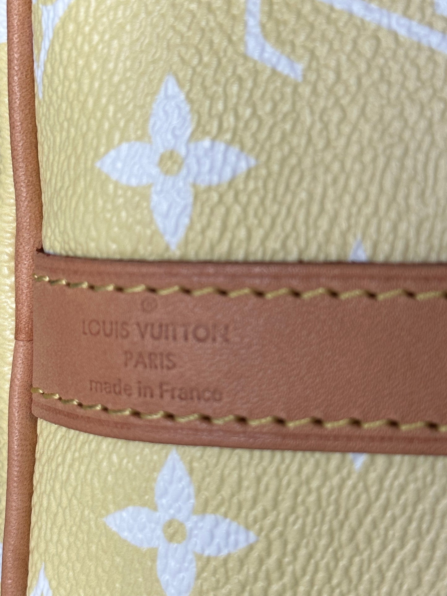 Louis Vuitton Pink & Yellow By The Pool Monogram Speedy 25