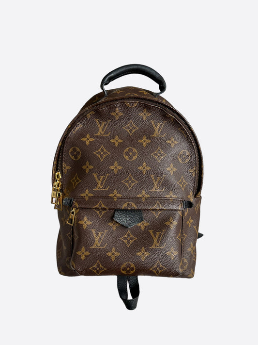 Louis Vuitton Brown Monogram Palm Springs Mini Backpack