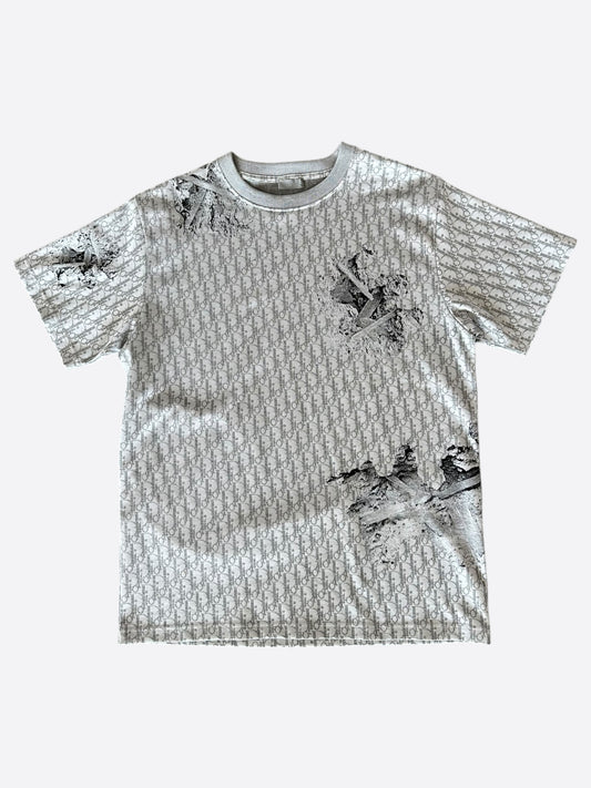 Dior Daniel Arsham Grey Oblique T-Shirt