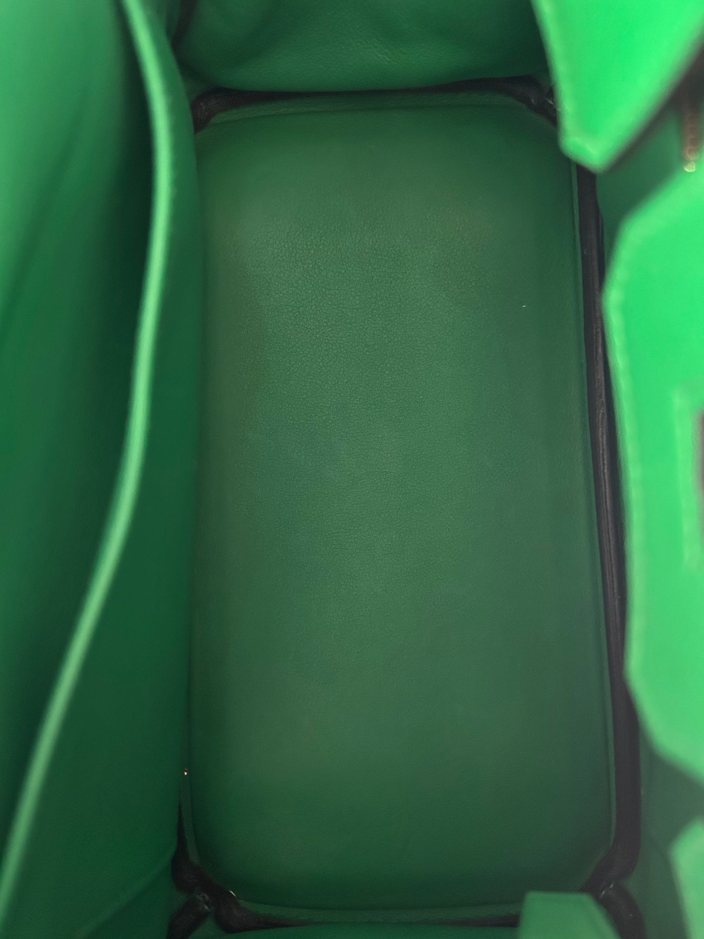 Hermes Bamboo Green Togo & Gold Hardware Birkin 25