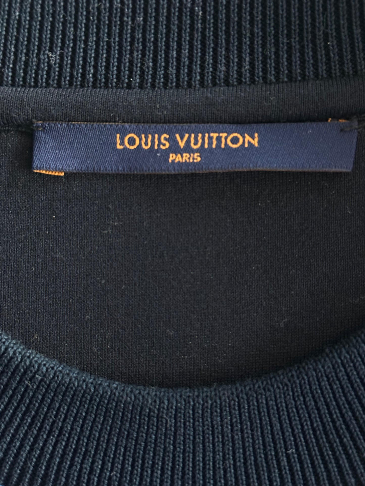 Louis Vuitton Blue & Green Gradient Monogram Sweater