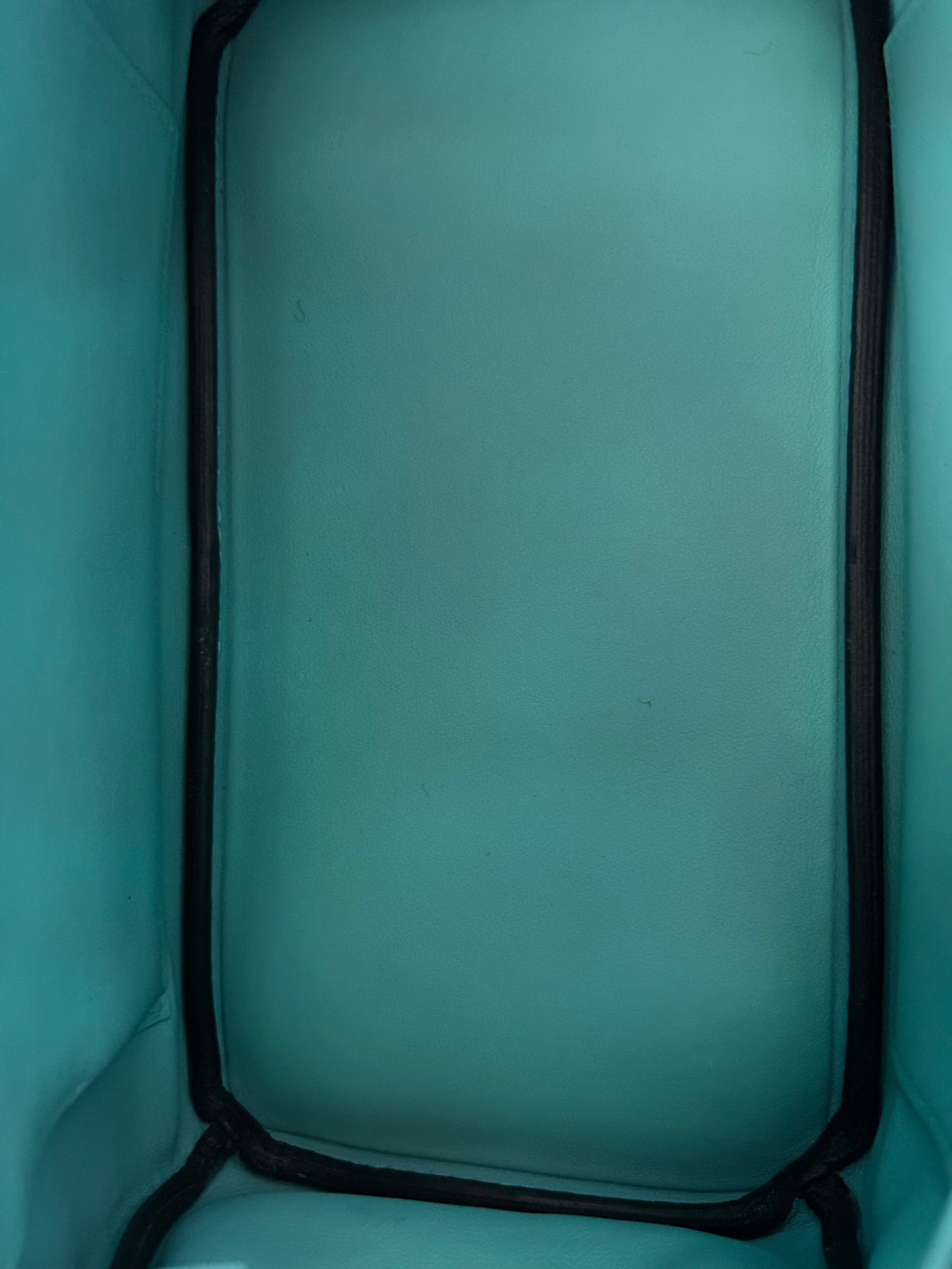 Hermes Tiffany Blue Swift & Gold Hardware Birkin 25