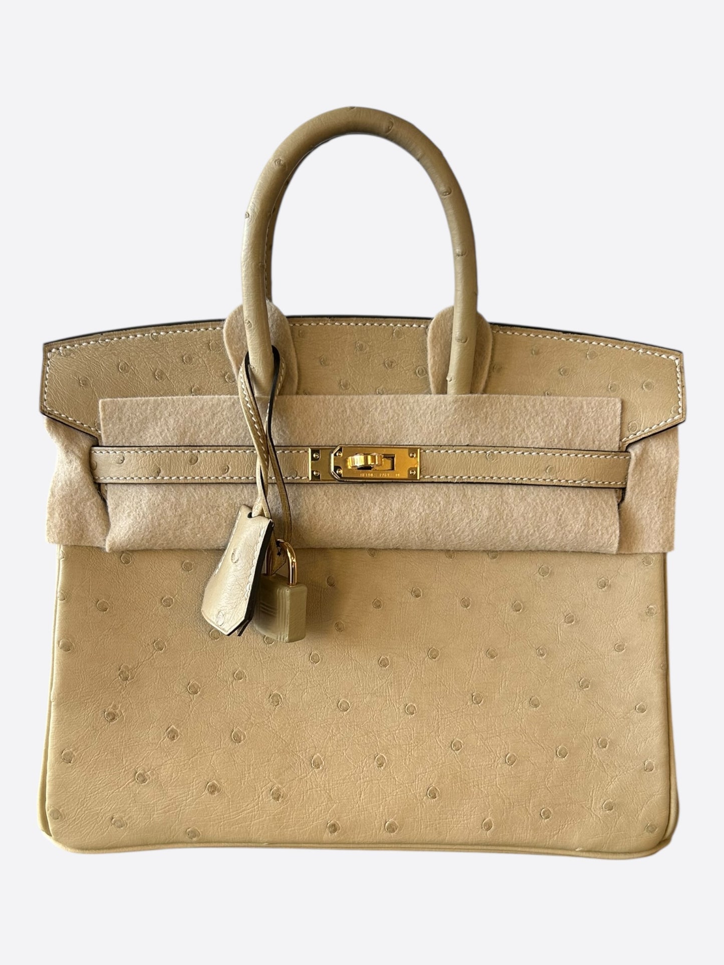 Hermes Sesame Ostrich & Gold Hardware Birkin 25