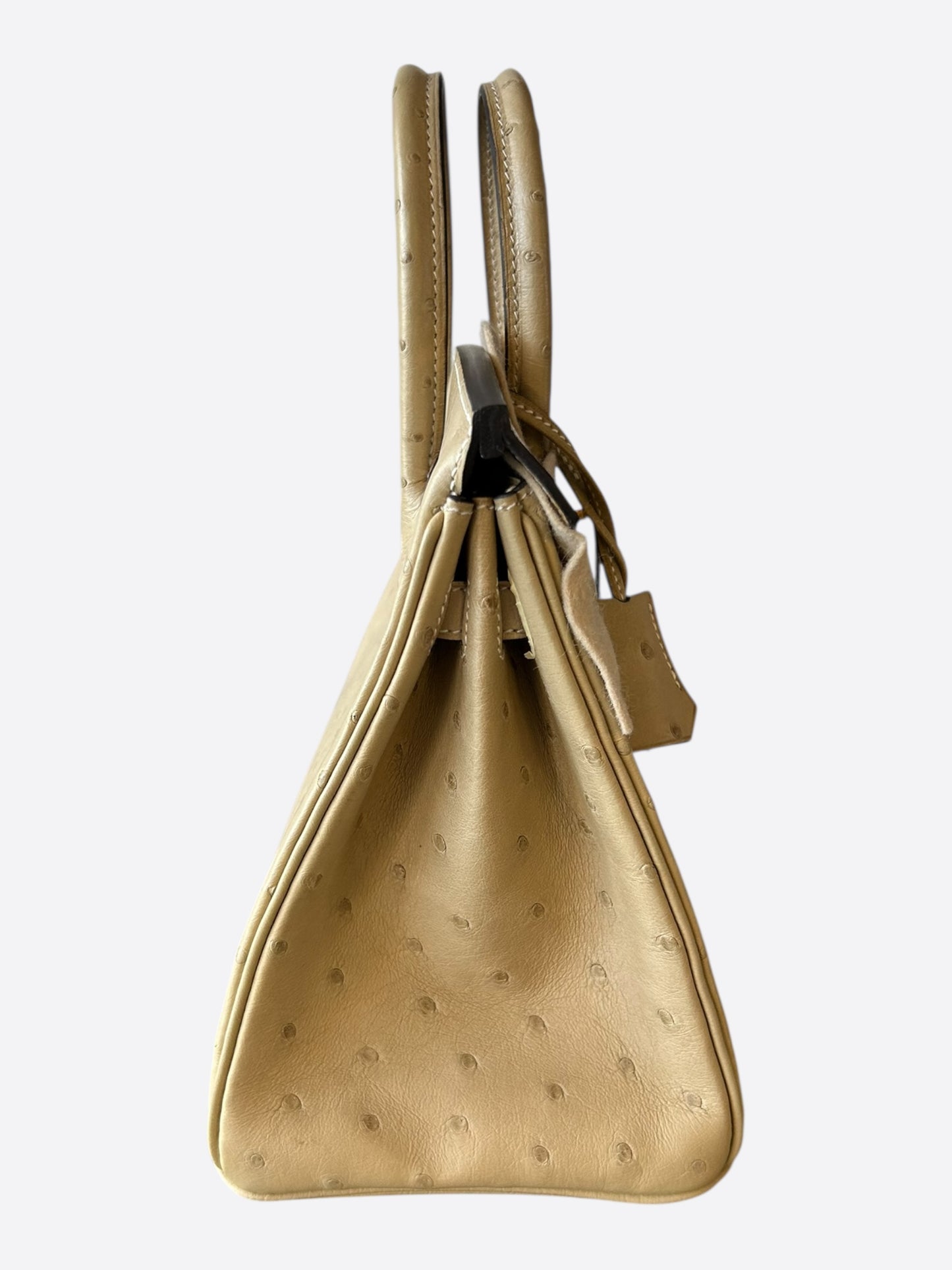 Hermes Sesame Ostrich & Gold Hardware Birkin 25