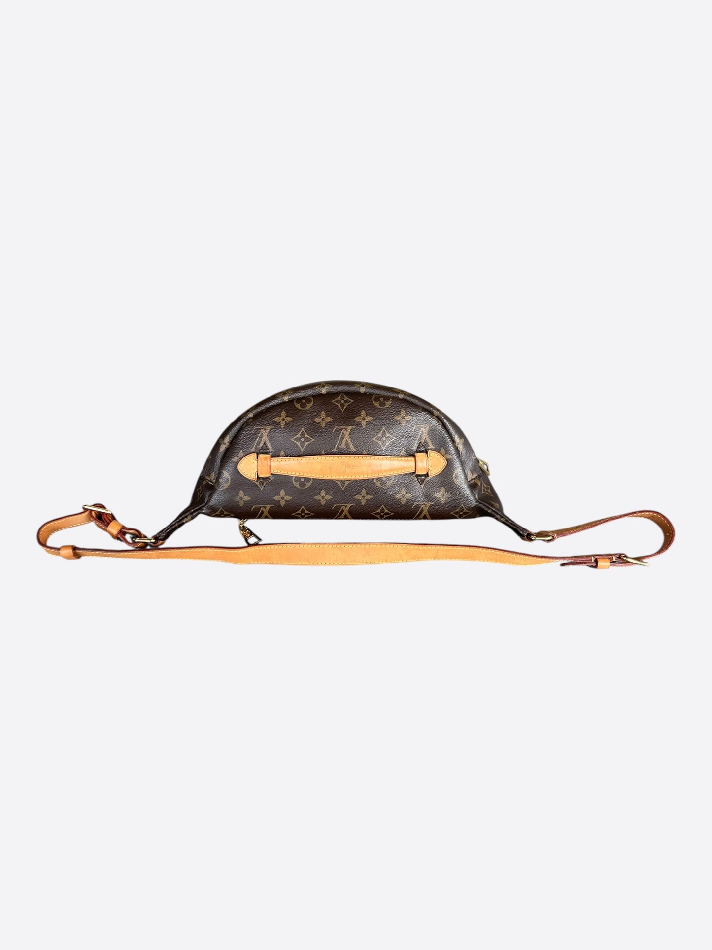 Louis Vuitton Brown Monogram Bumbag