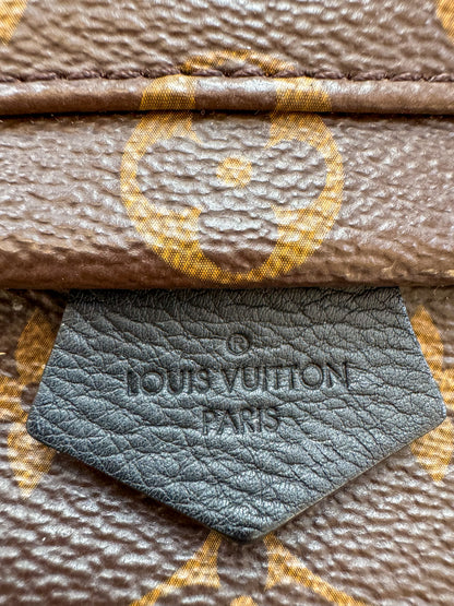 Louis Vuitton Brown Monogram Palm Springs Mini